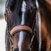 Madrid - Cognac Leather Snaffle Bridle With Flash - Equine Exchange Tack Shop