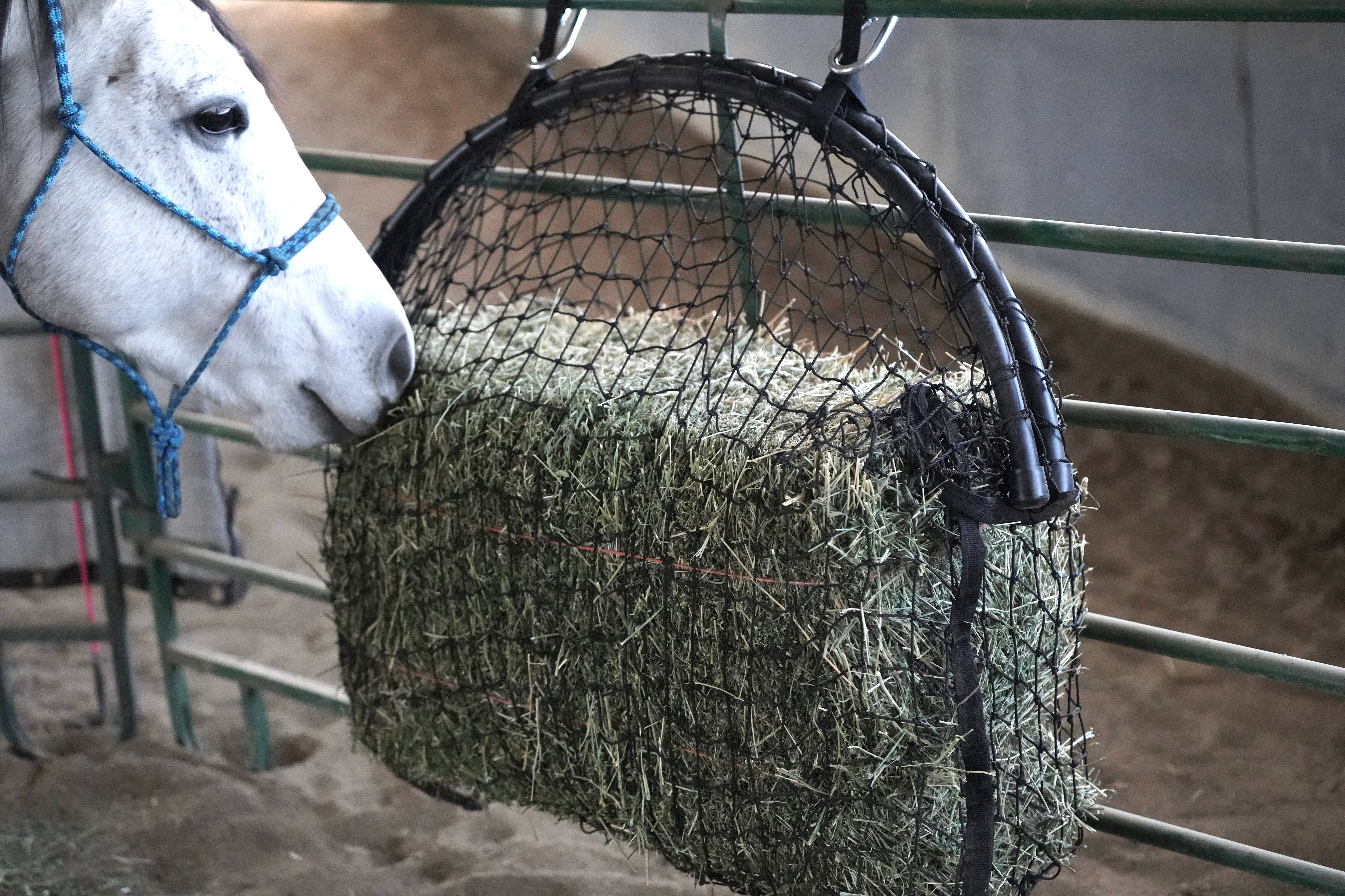 Haylo Square Bale Hay Net - Equine Exchange Tack Shop