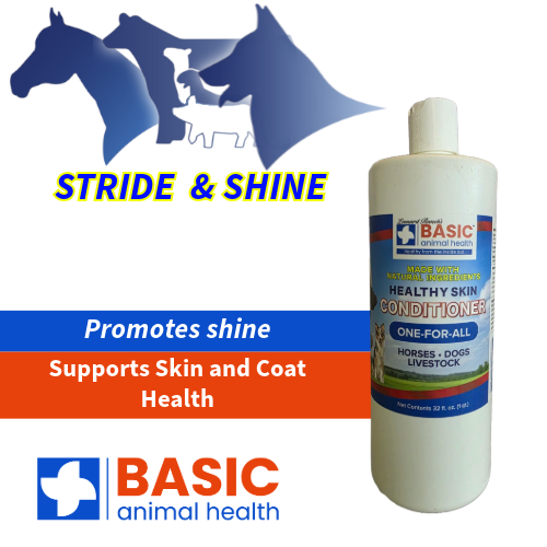 Healthy Skin Conditioner - Equine Exchange Tack Shop