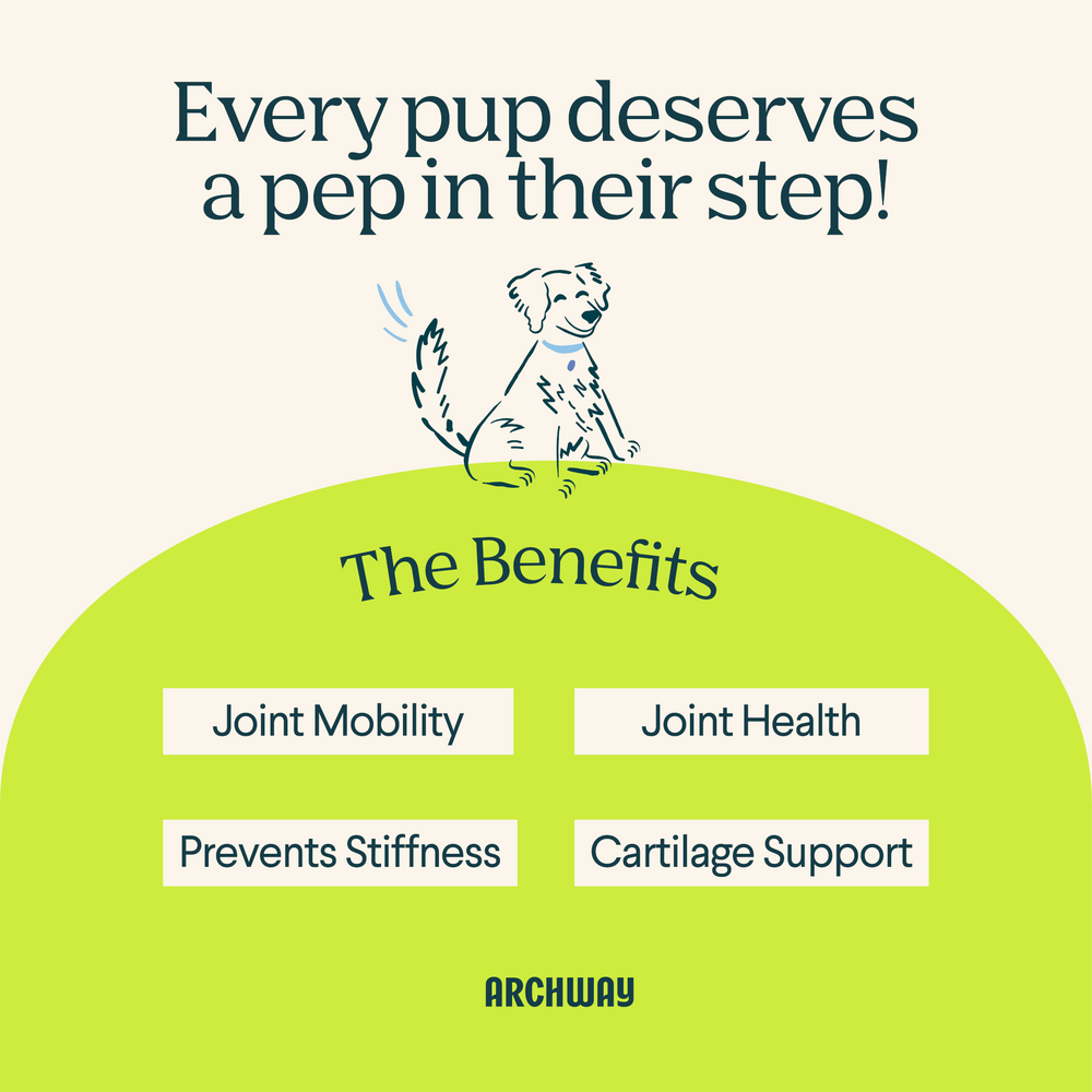 Hip & Joint Health - Equine Exchange Tack Shop