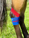 Equi-Tape® Advanced Education Package - Equine Exchange Tack Shop