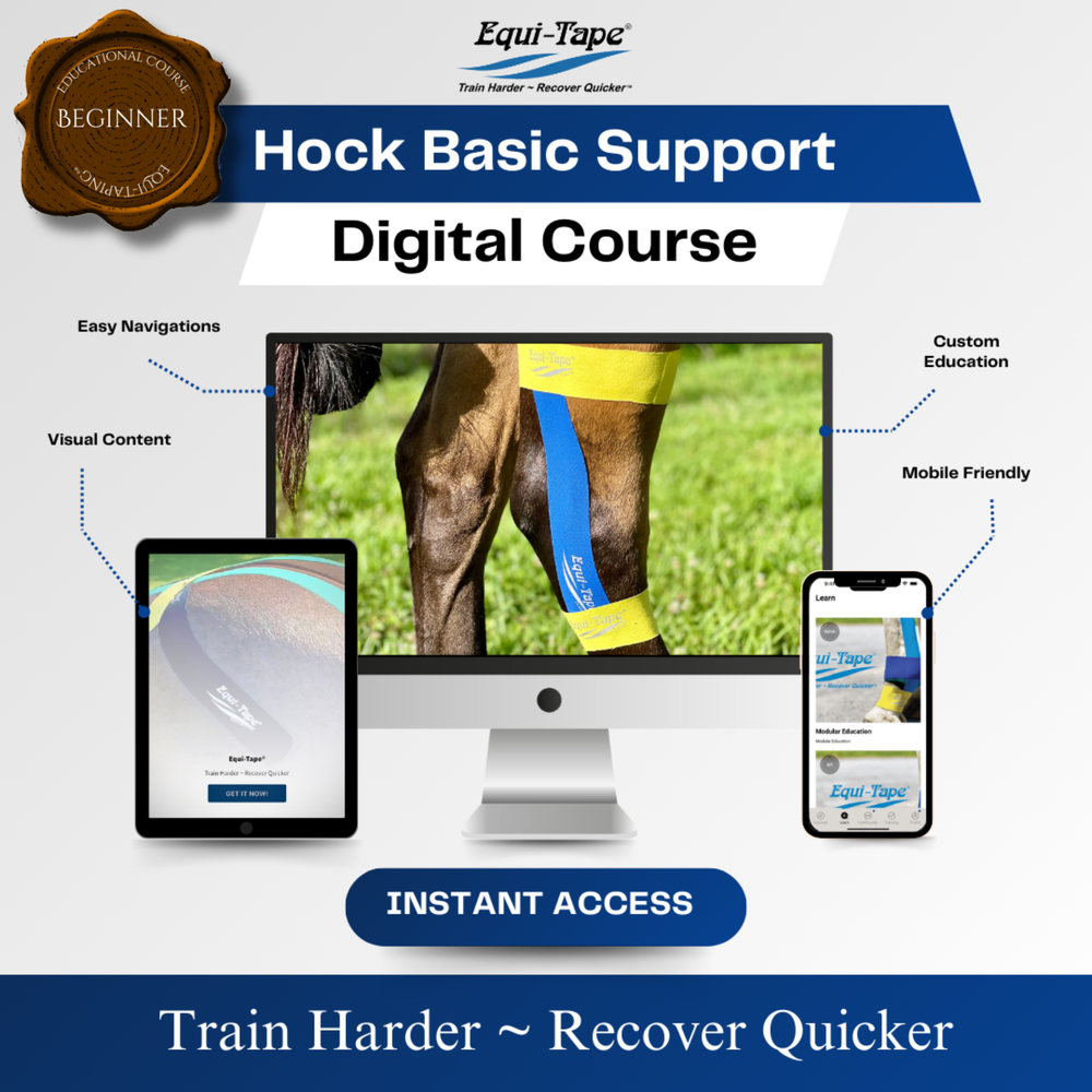 Module: The Hock - Equine Exchange Tack Shop