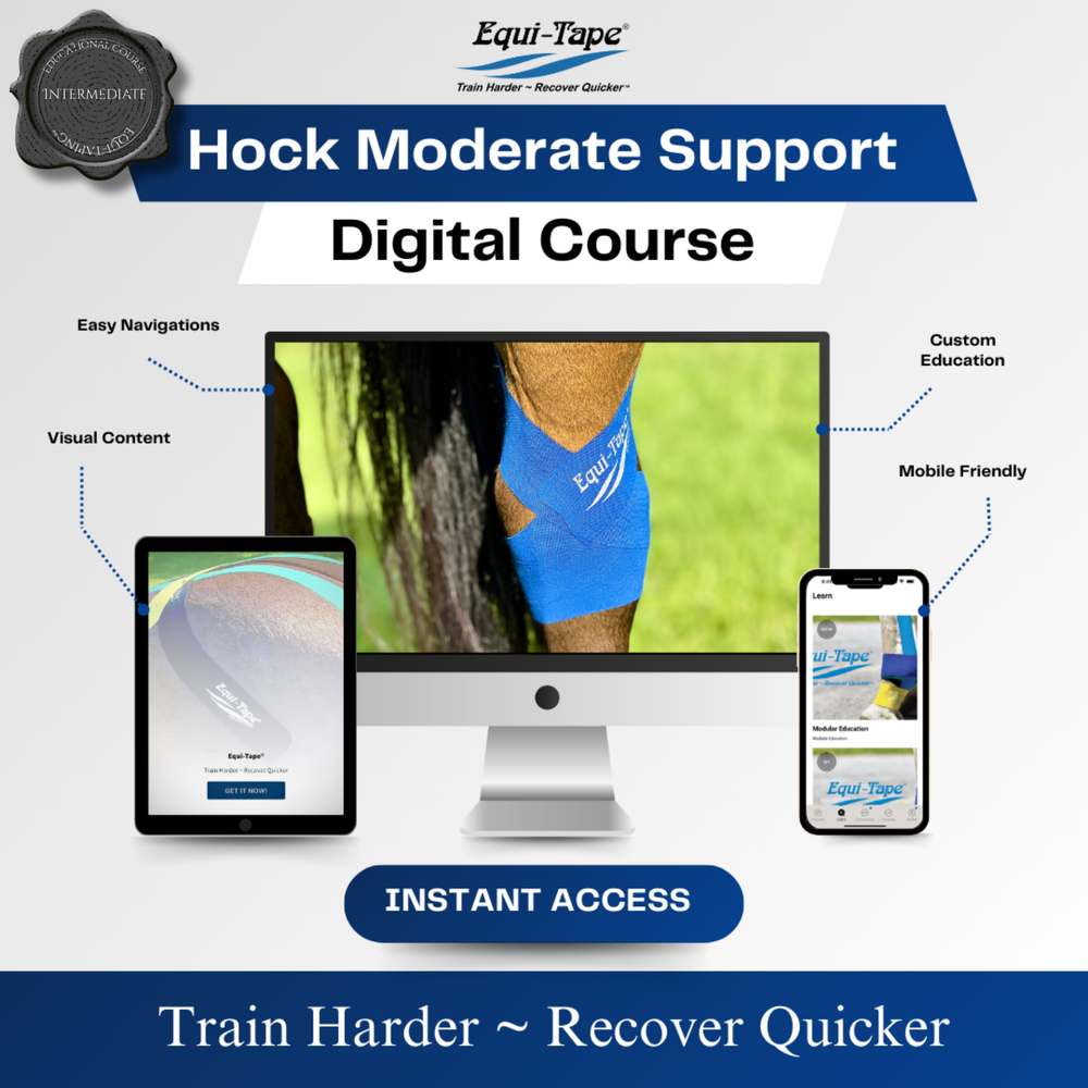 Module: The Hock - Equine Exchange Tack Shop