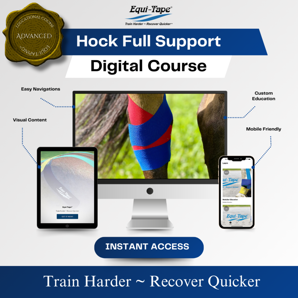 Module: The Hock - Equine Exchange Tack Shop