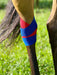 Equi-Tape® Fundamentals Course & Module Bundle - Equine Exchange Tack Shop