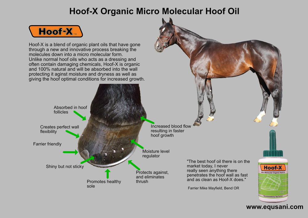 Hoof-X Organic Micro Molecular Hoof Oil - Equine Exchange Tack Shop
