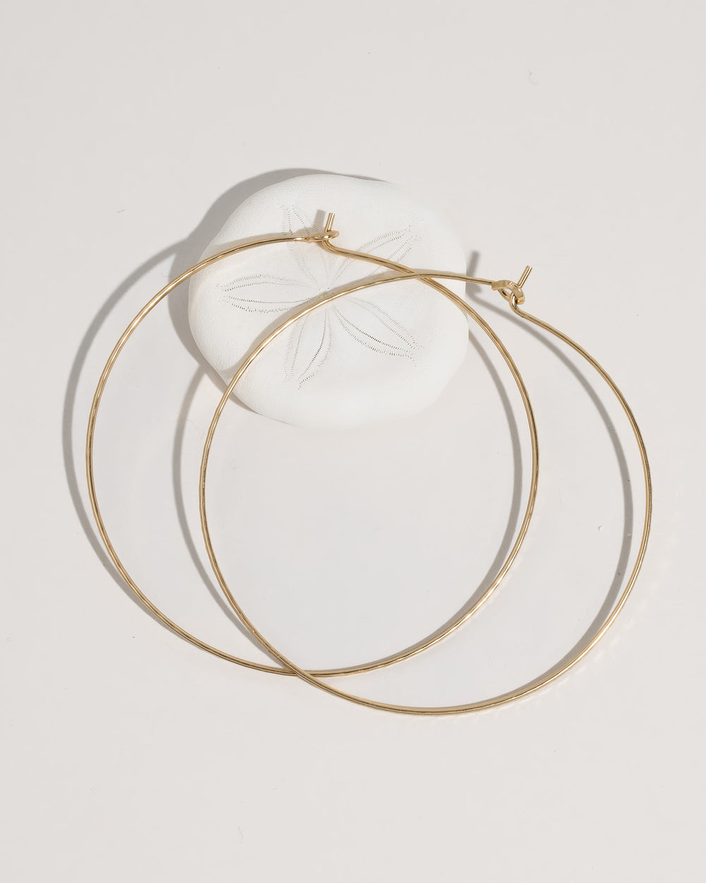 Hoop Earrings - Equine Exchange Tack Shop