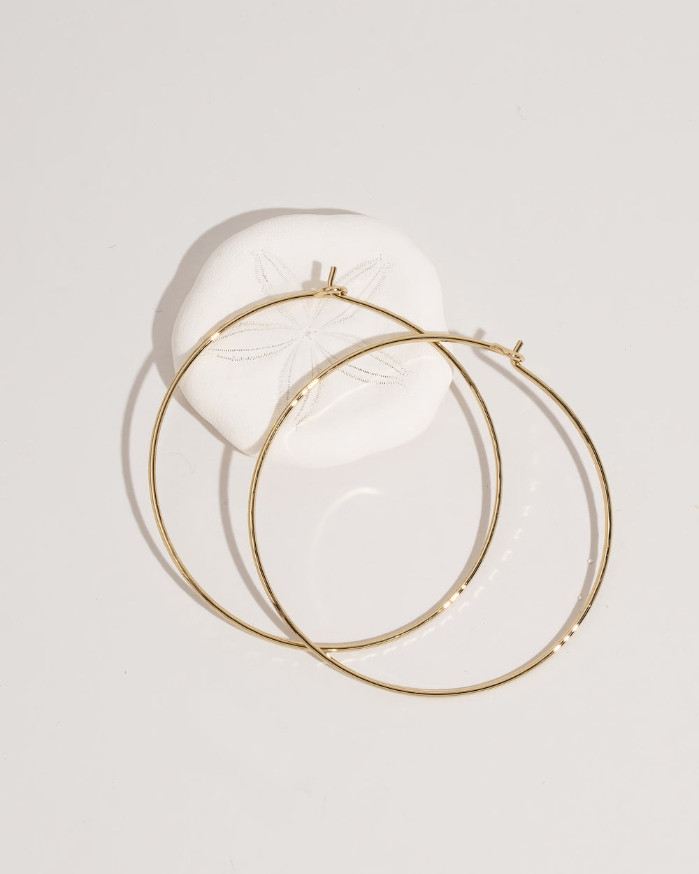 Hoop Earrings - Equine Exchange Tack Shop