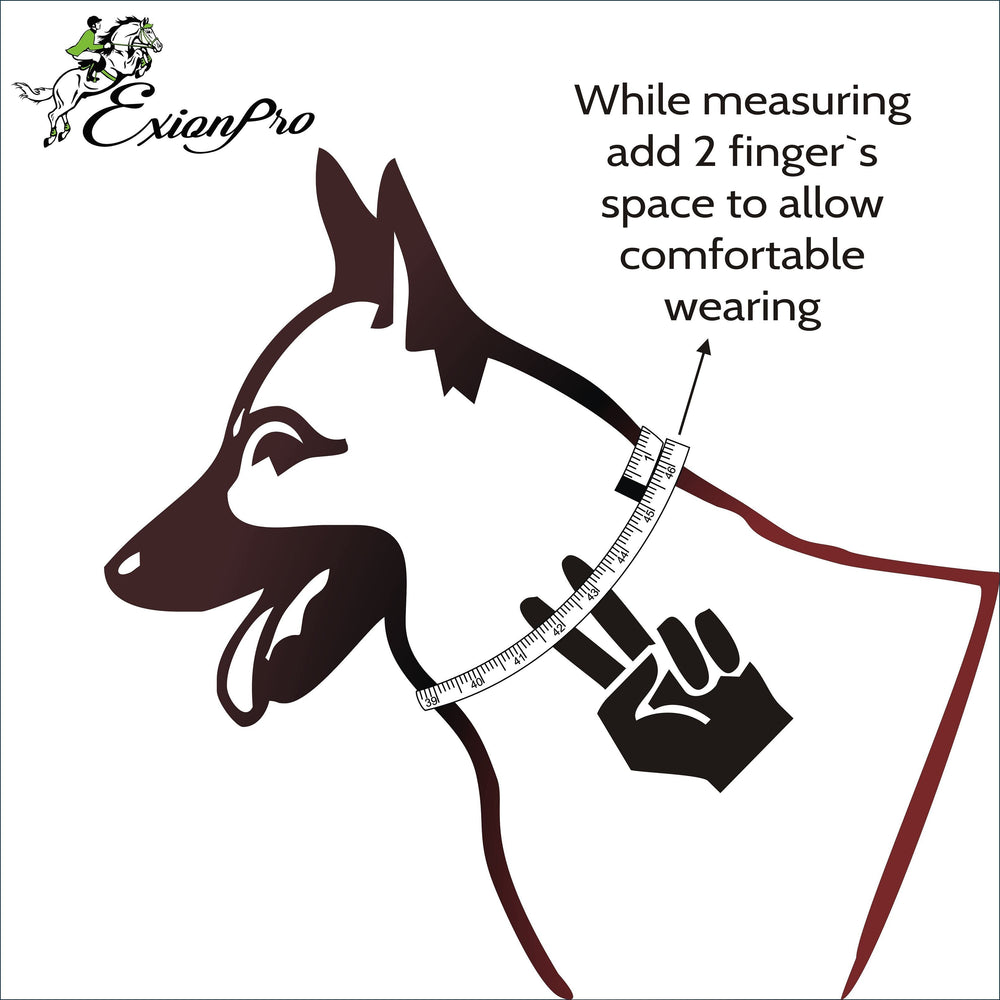 ExionPro Red Bling Padded Dog Collar With Dog Leash - Equine Exchange Tack Shop