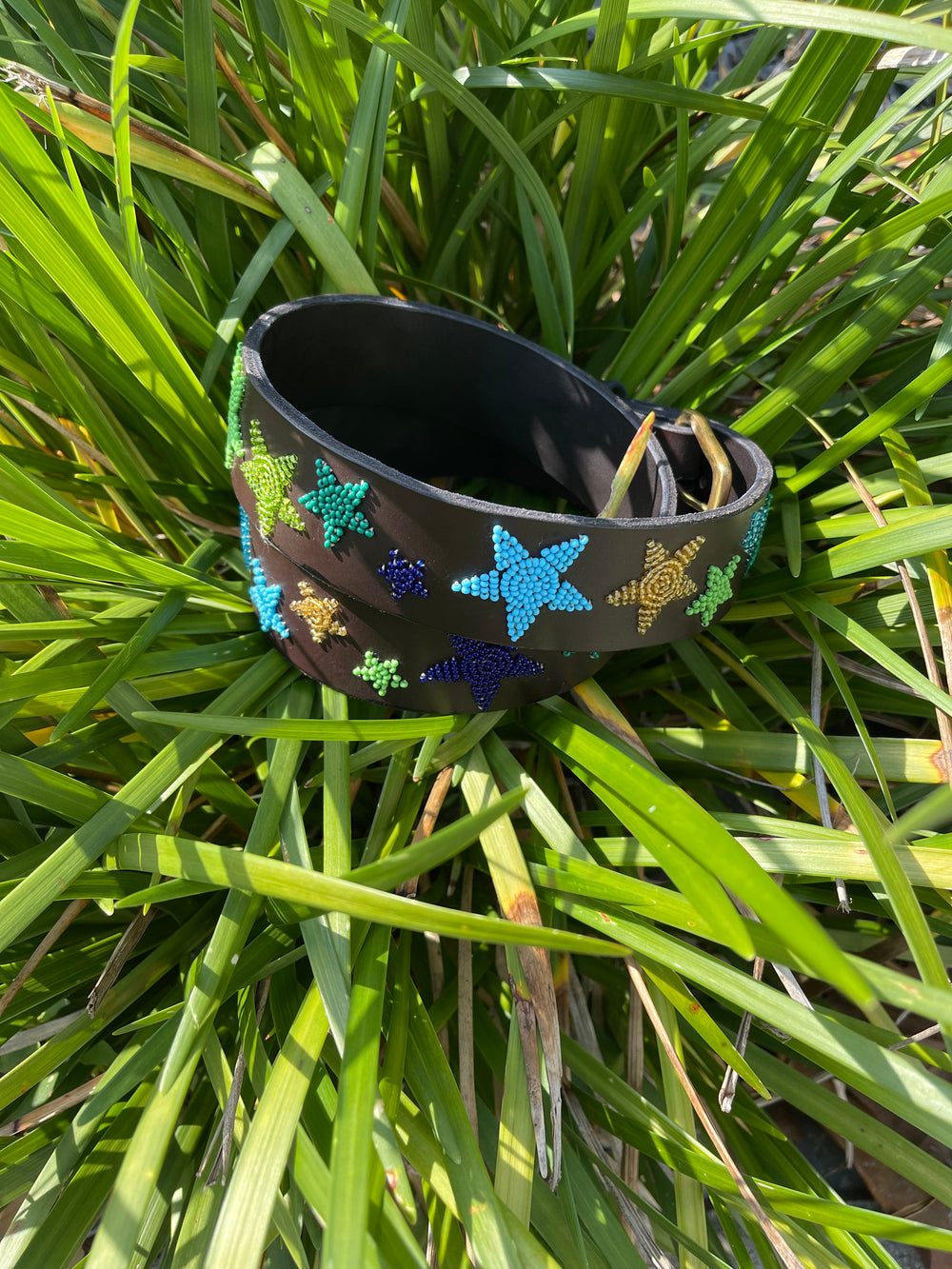 Peacock Stars Belt - Wide Width - Equine Exchange Tack Shop