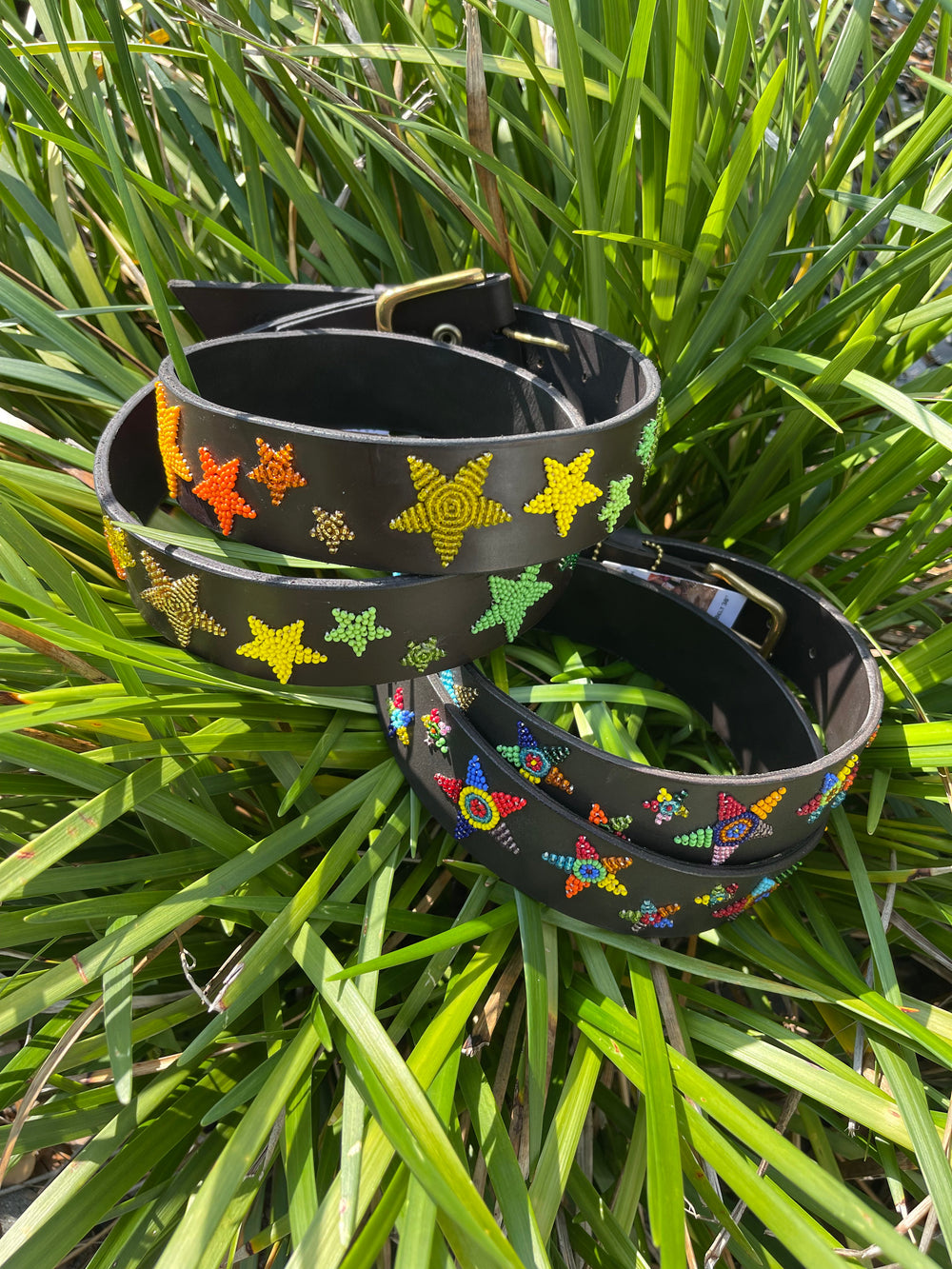 Rainbow Stars Belt - Wide Width - Equine Exchange Tack Shop