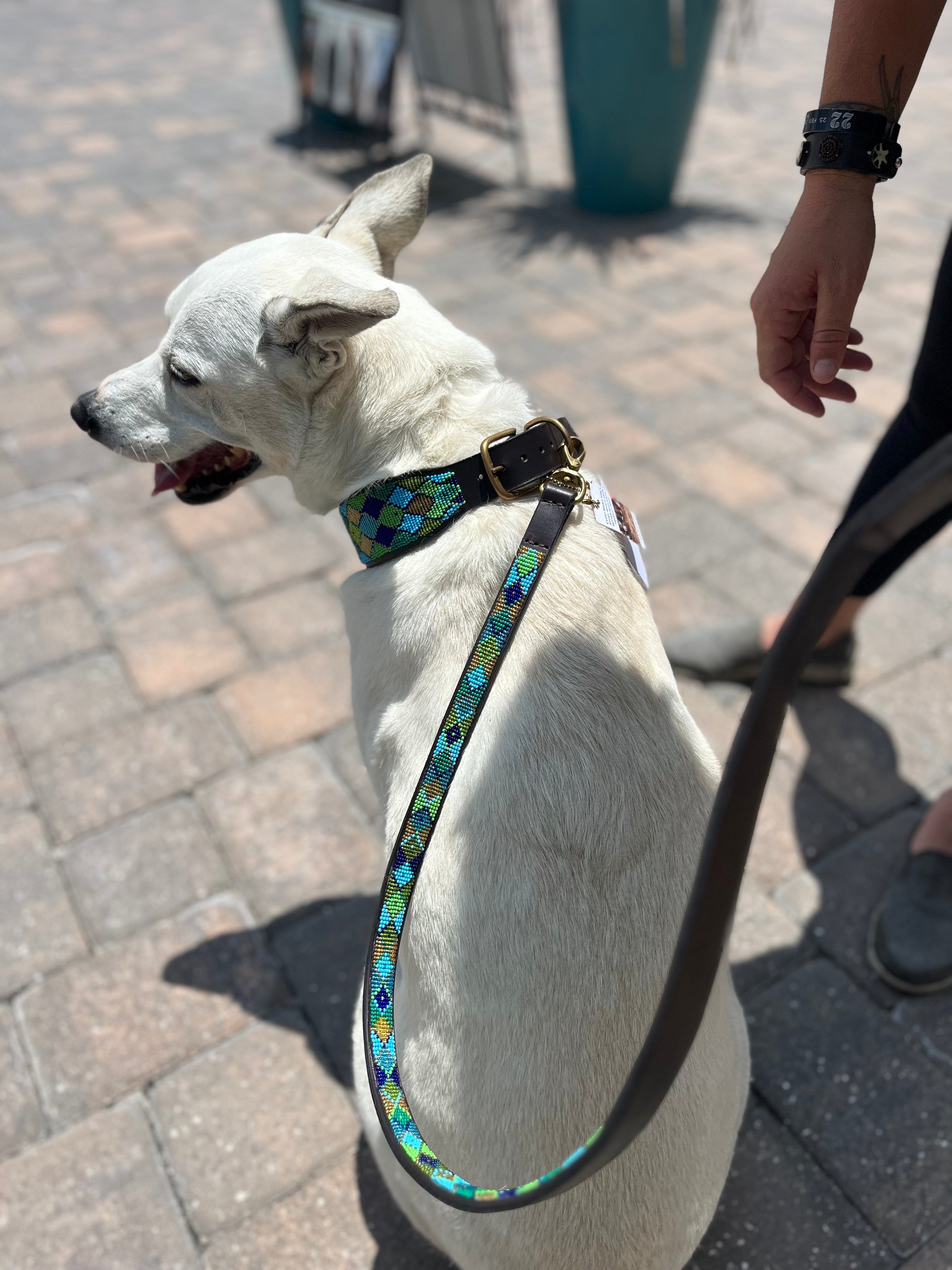 Peacock Argyle Beaded Dog Collar - Equine Exchange Tack Shop