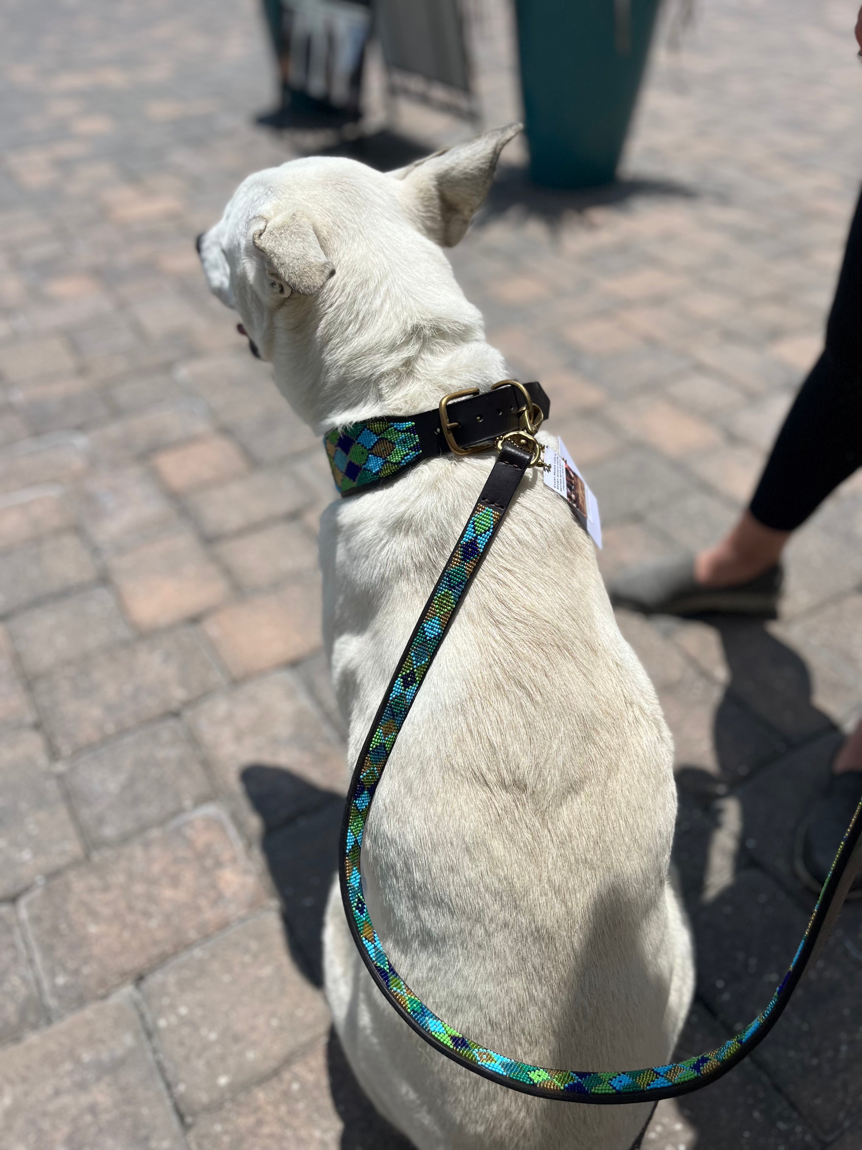 Peacock Argyle Beaded Dog Collar - Equine Exchange Tack Shop