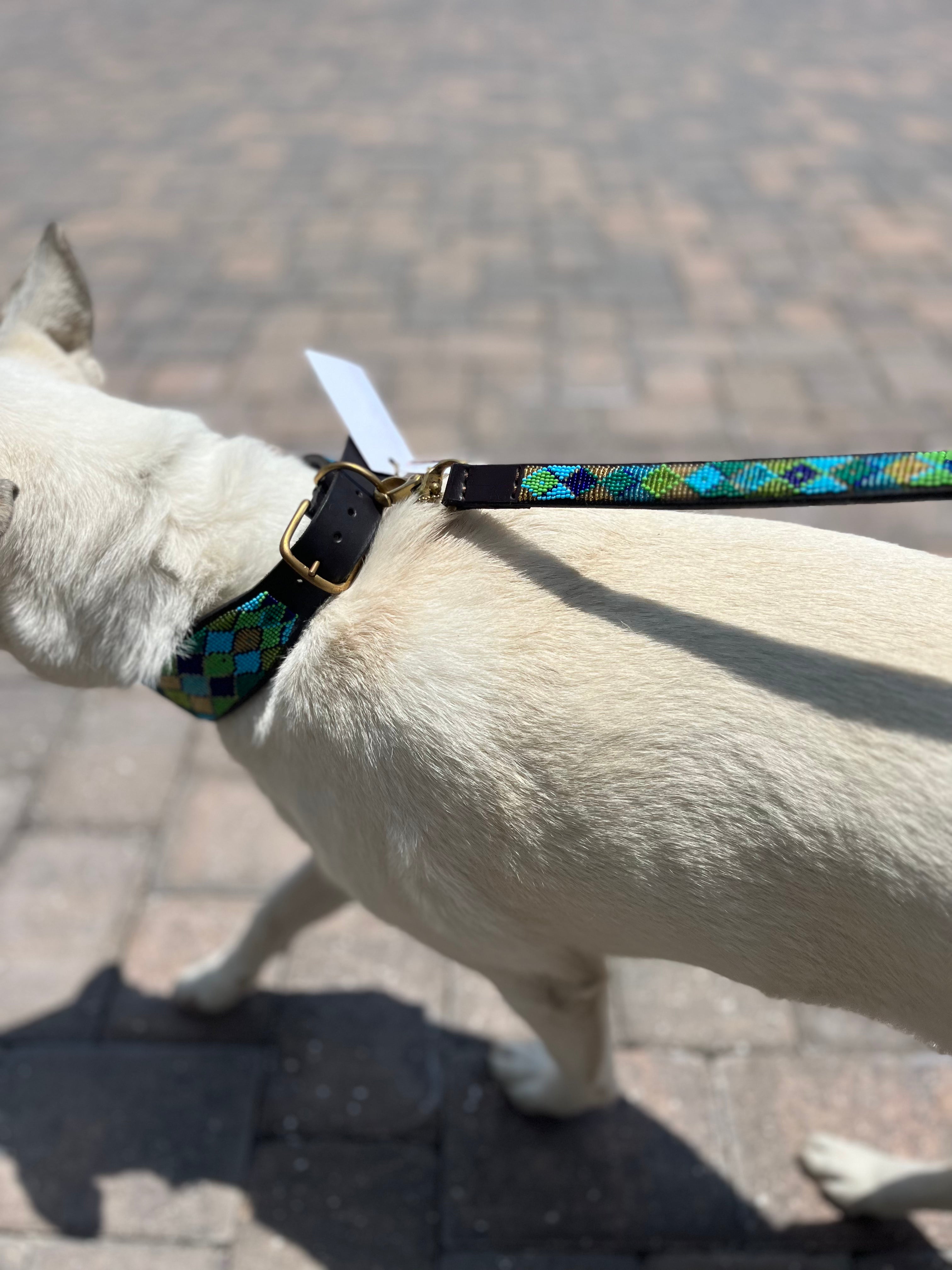 Peacock Argyle Beaded Dog Collar - Equine Exchange Tack Shop