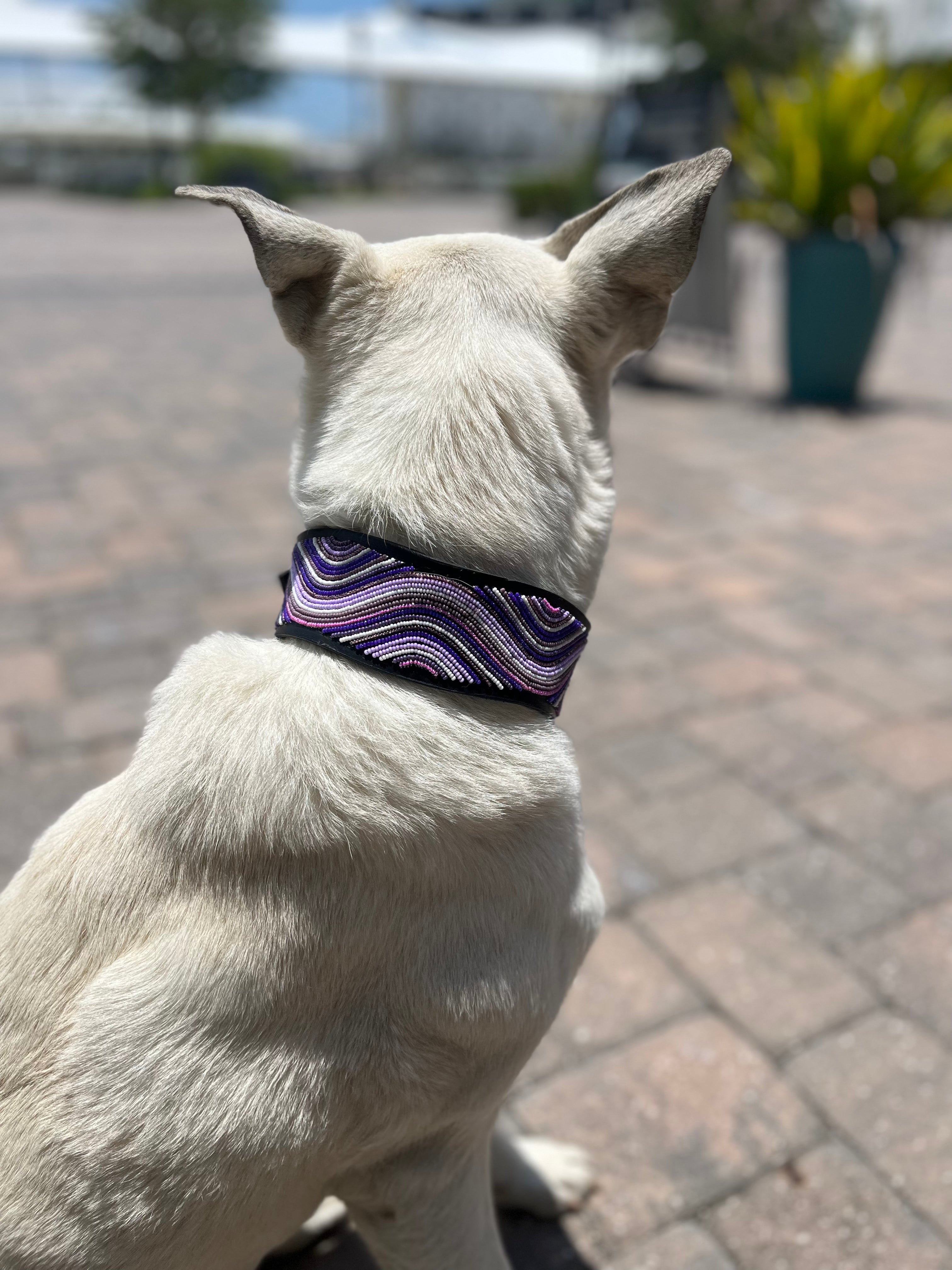 The Purple Wave Beaded Dog Collar  