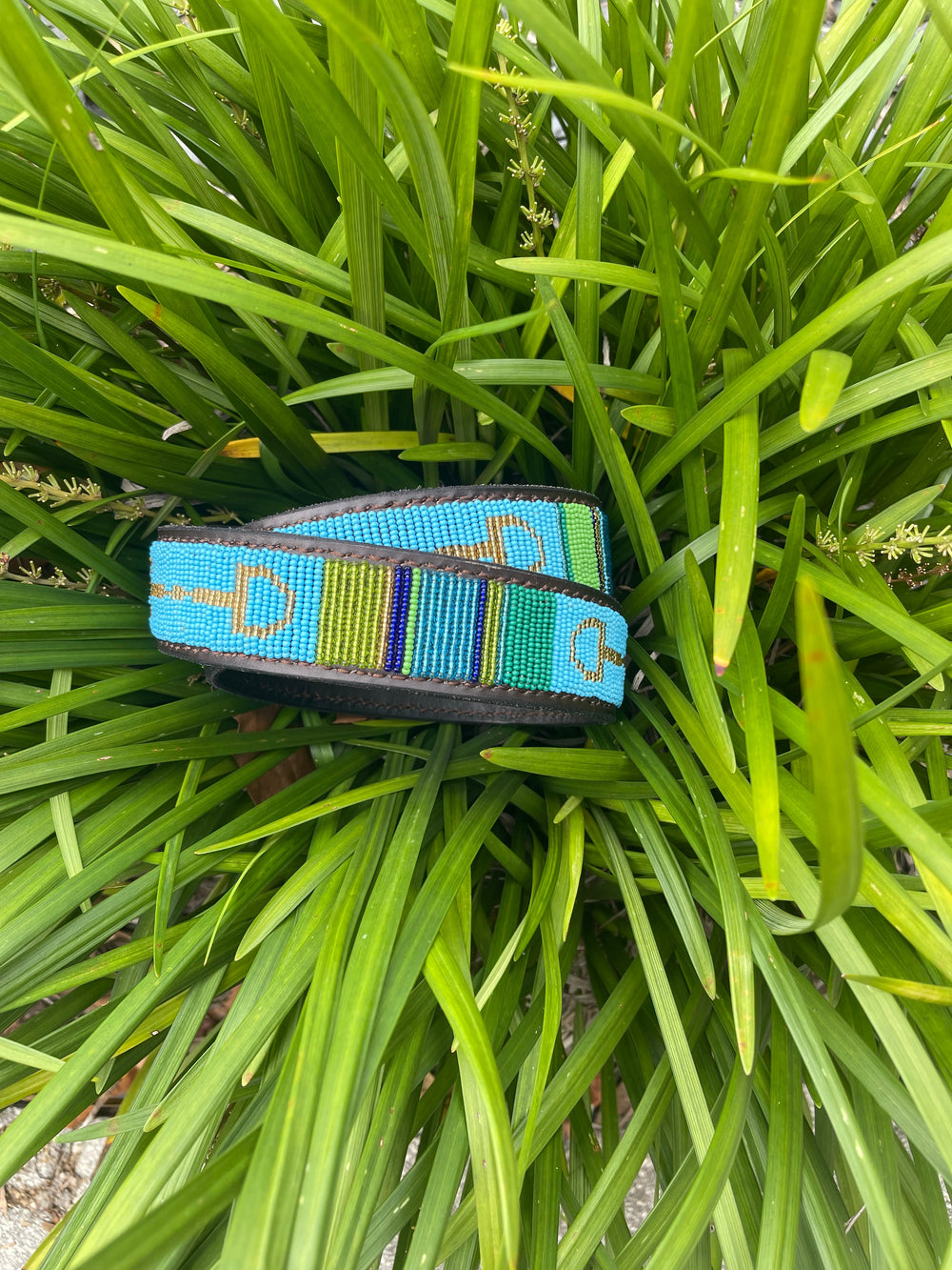 Peacock Bits Belt - Wide Width - Equine Exchange Tack Shop