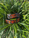 Bezana Belt - Orange - Equine Exchange Tack Shop