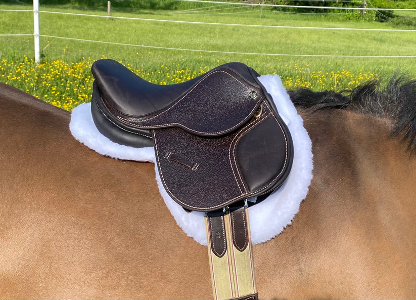 Belle & Bow Fitted Leadline Show Saddle Pad - Equine Exchange Tack Shop