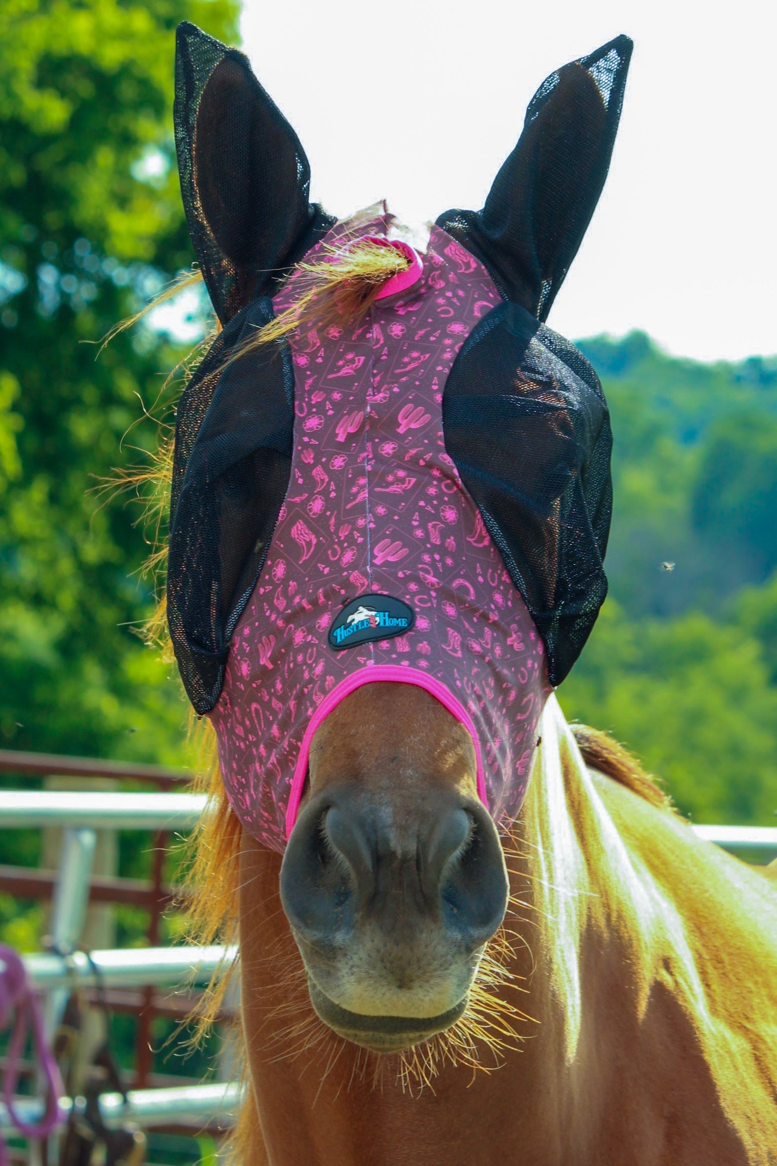 Lucky Draw Fly Mask