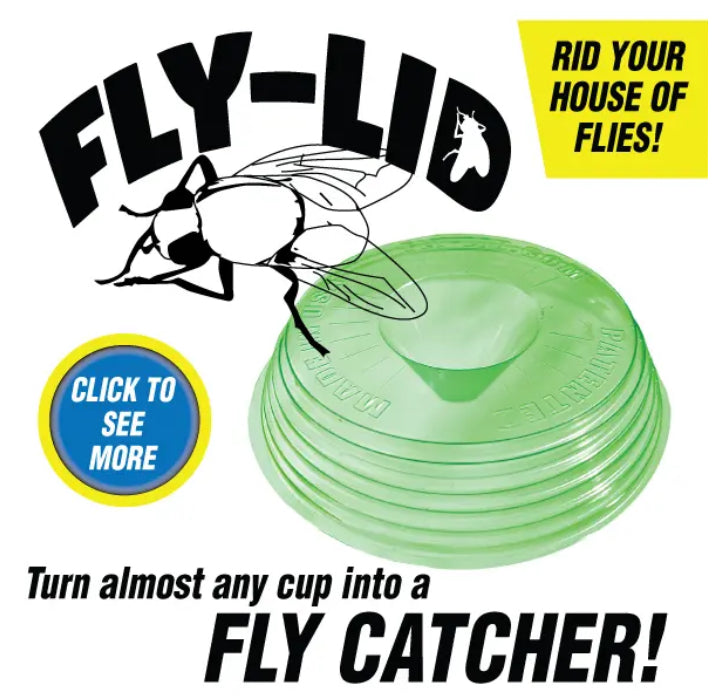 Fly Catchers