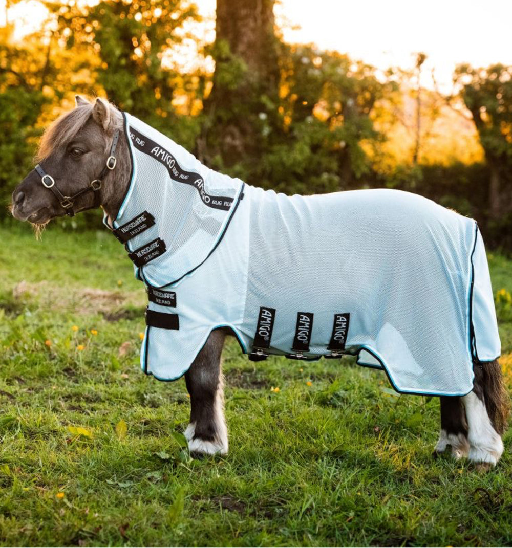 Amigo Petite Bug Rug - Equine Exchange Tack Shop