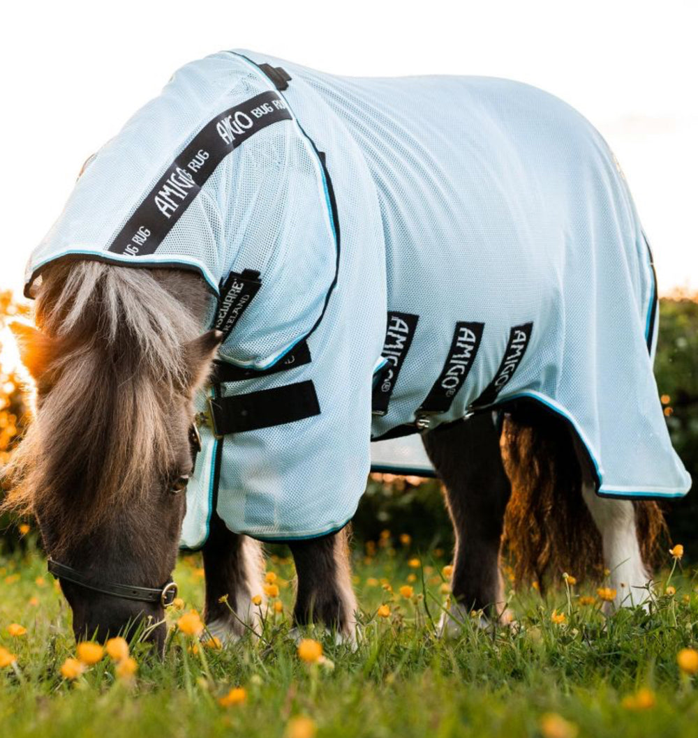 Amigo Petite Bug Rug - Equine Exchange Tack Shop