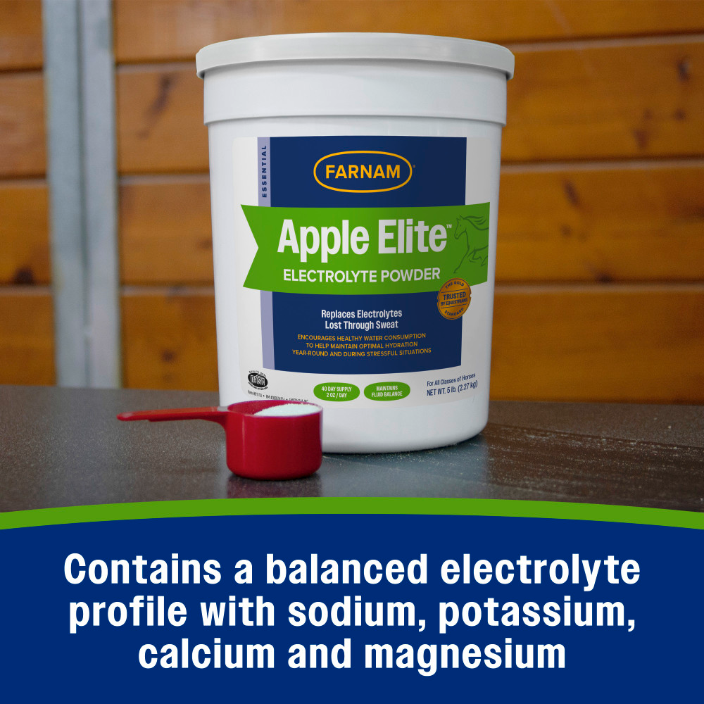 Apple Elite Electrolytes - Equine Exchange Tack Shop