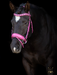 The Barbie Pink Leather Snaffle Bridle - Equine Exchange Tack Shop