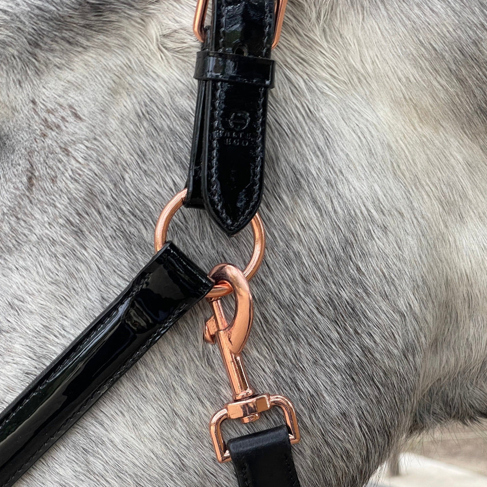 Aurelia - Black Patent Conical Padded Halter with Rose Gold Piping - Equine Exchange Tack Shop