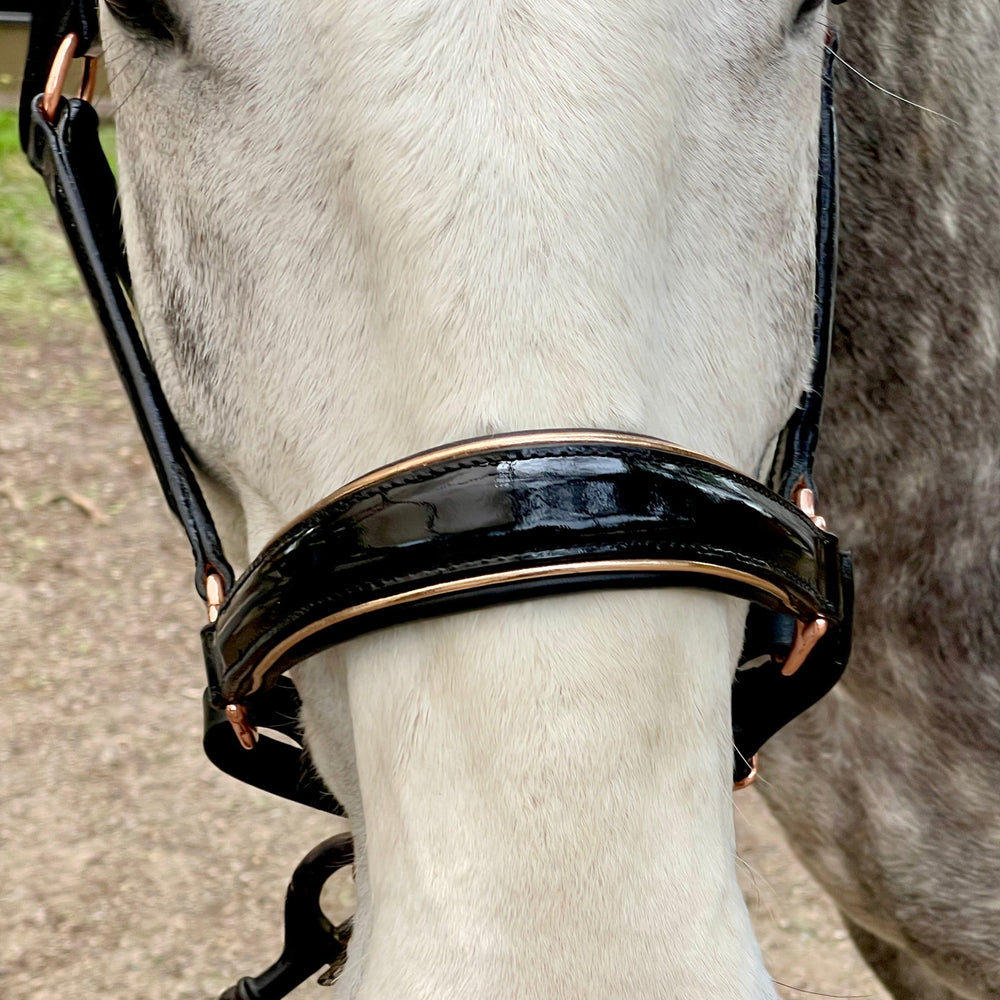 Aurelia - Black Patent Conical Padded Halter with Rose Gold Piping - Equine Exchange Tack Shop