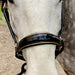 Aurelia - Black Patent Conical Padded Halter with Rose Gold Piping - Equine Exchange Tack Shop