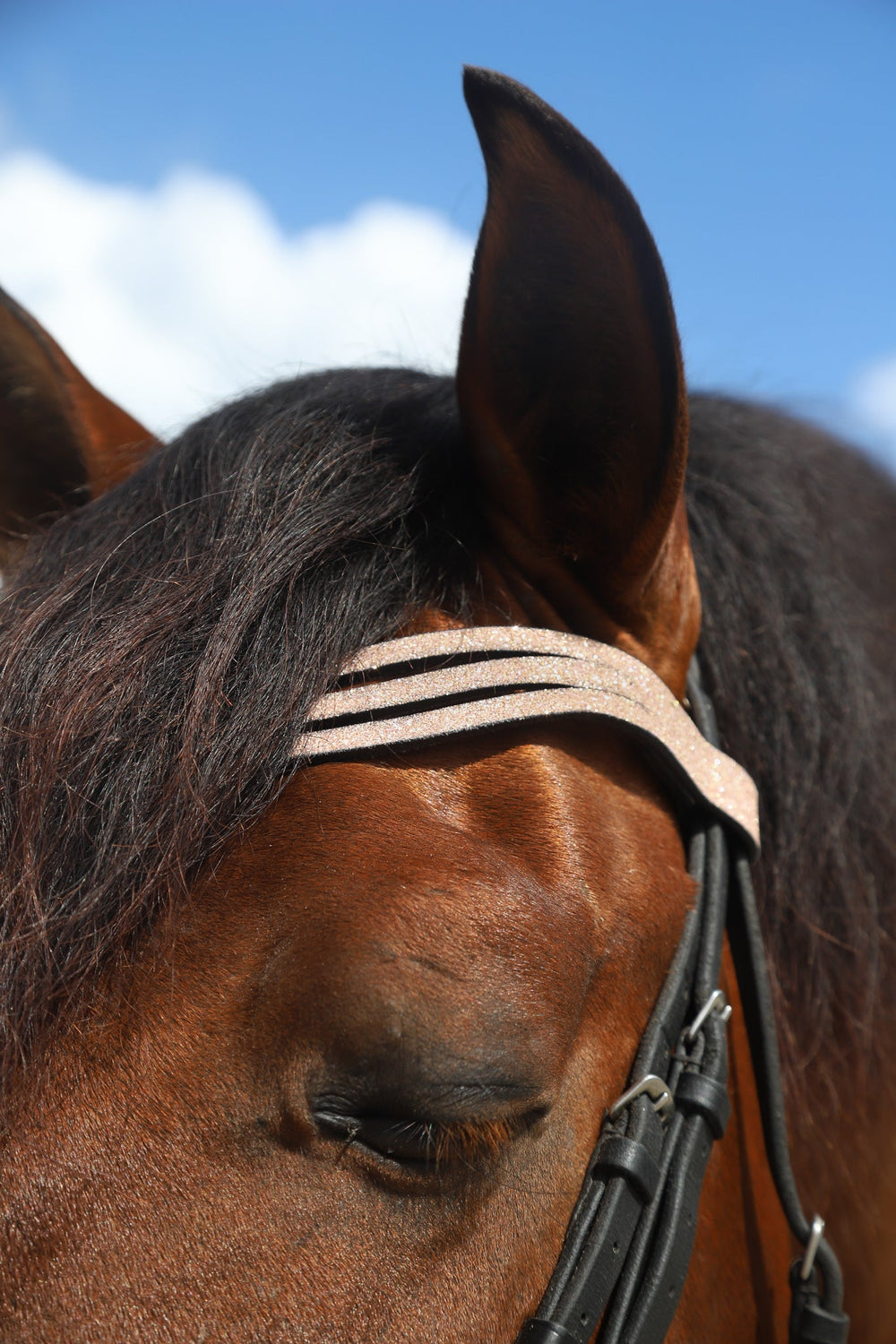 Rose Quartz Browband - Equine Exchange Tack Shop