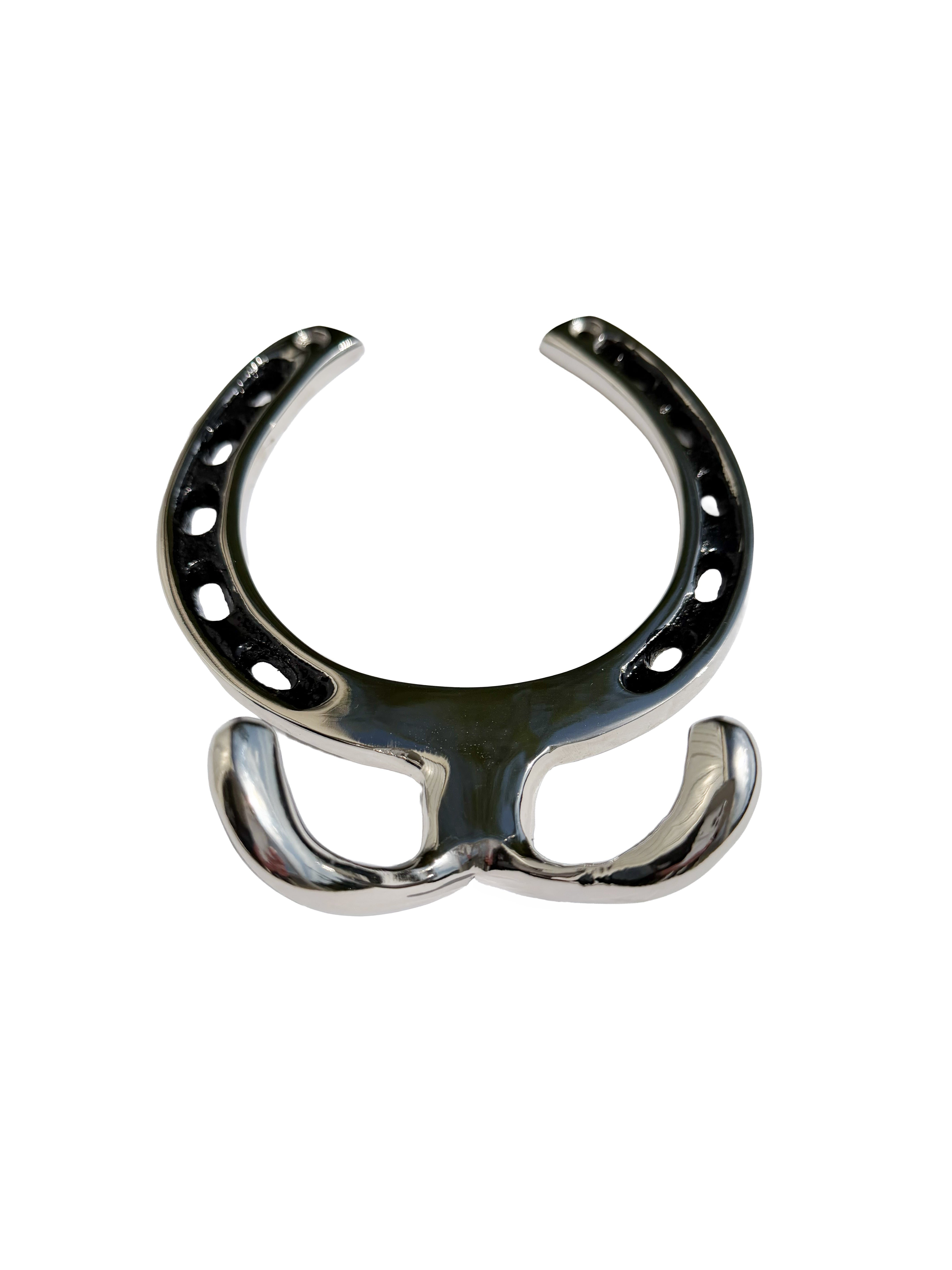 Silver Horseshoe Wall Hook Rack-2 Hook