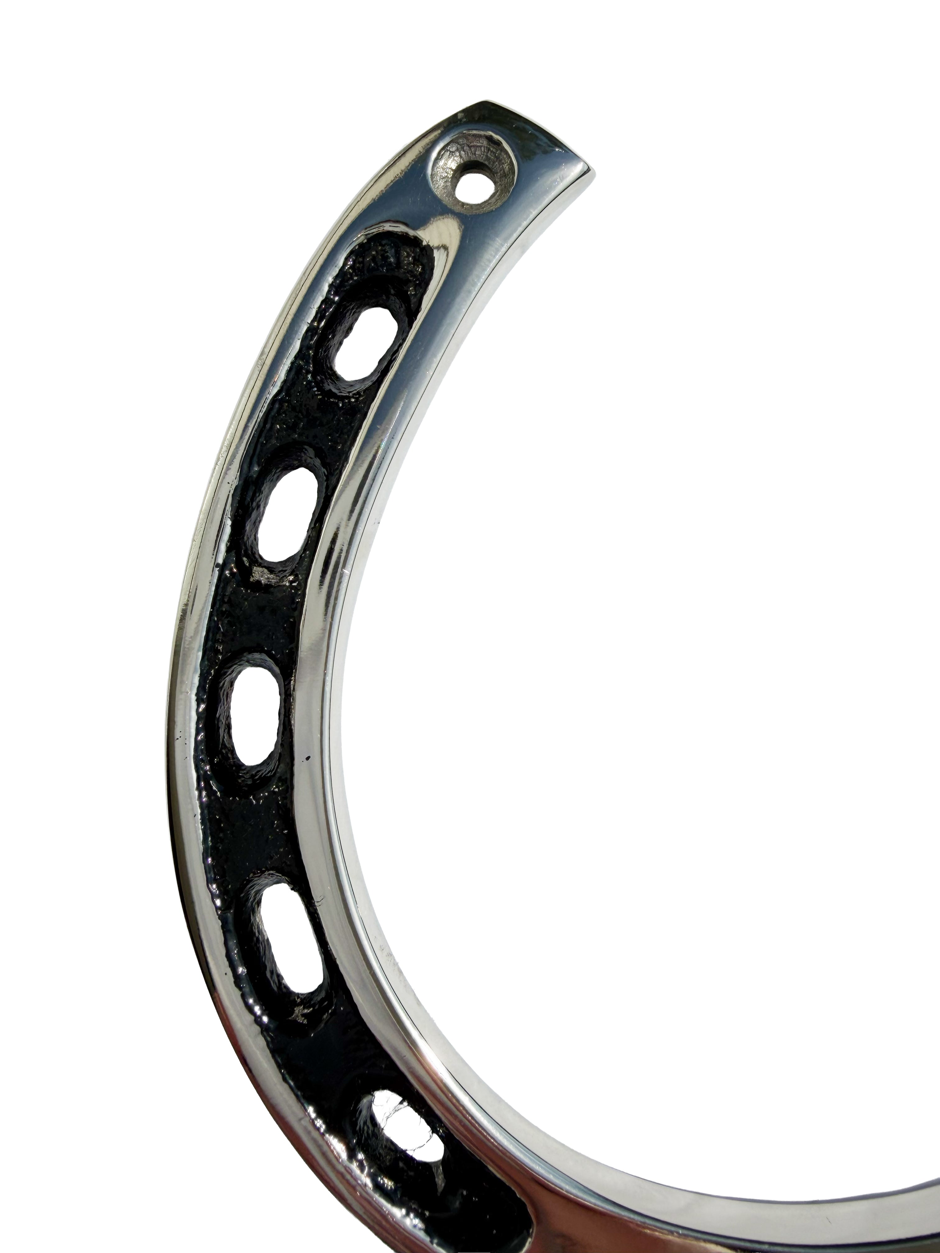 Silver Horseshoe Wall Hook Rack-2 Hook