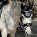 Halter Ego® Gunmetal Glitter Ear Net - Equine Exchange Tack Shop