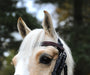 Burgundy Browband - Equine Exchange Tack Shop