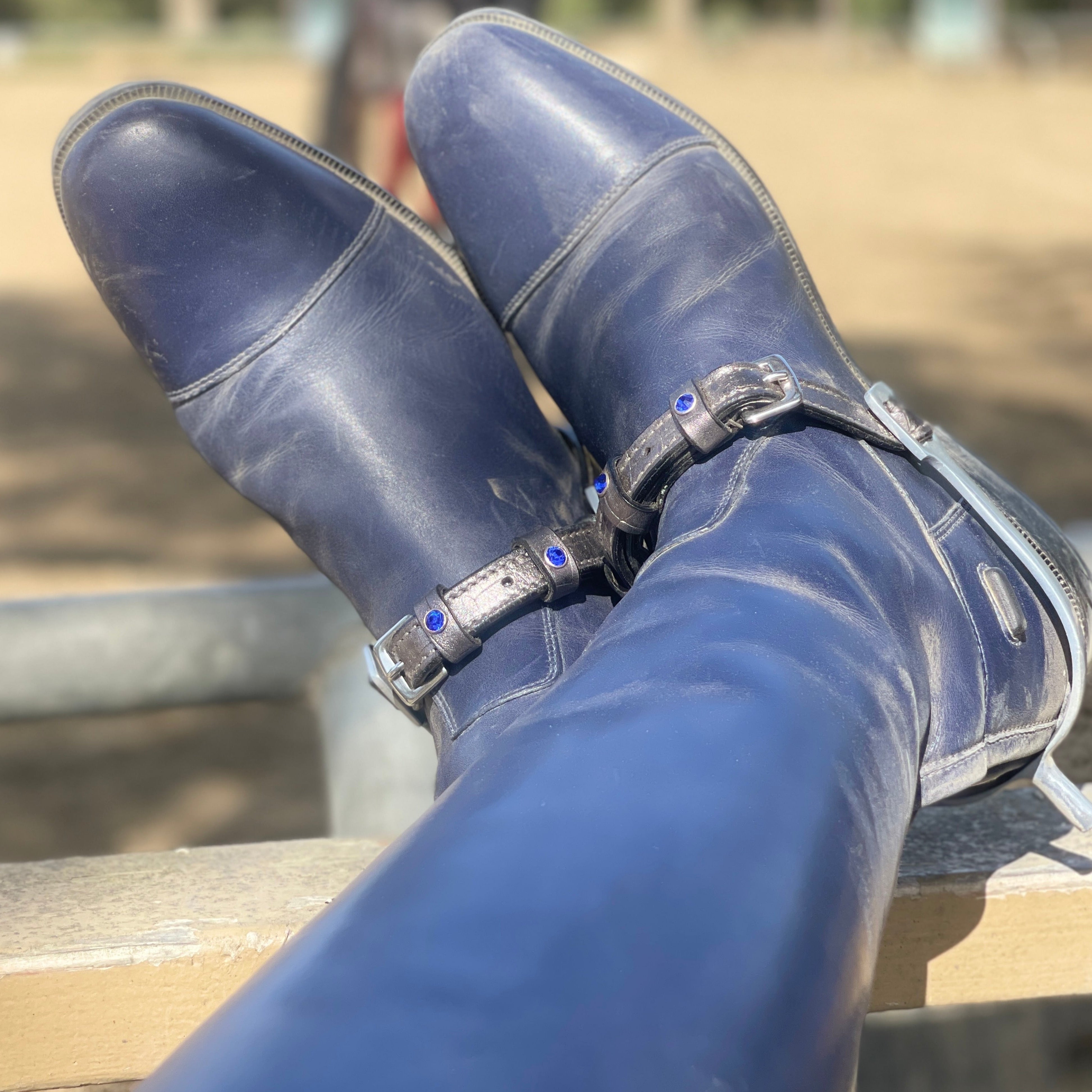 Petra Crystal Spur Straps - Equine Exchange Tack Shop
