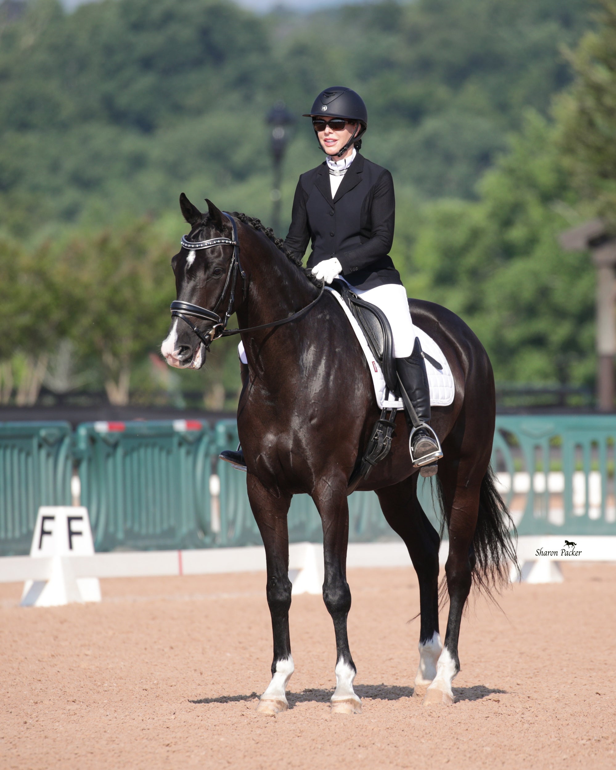 The Eiffel Tower Black Leather Dressage Bridle - Equine Exchange Tack Shop