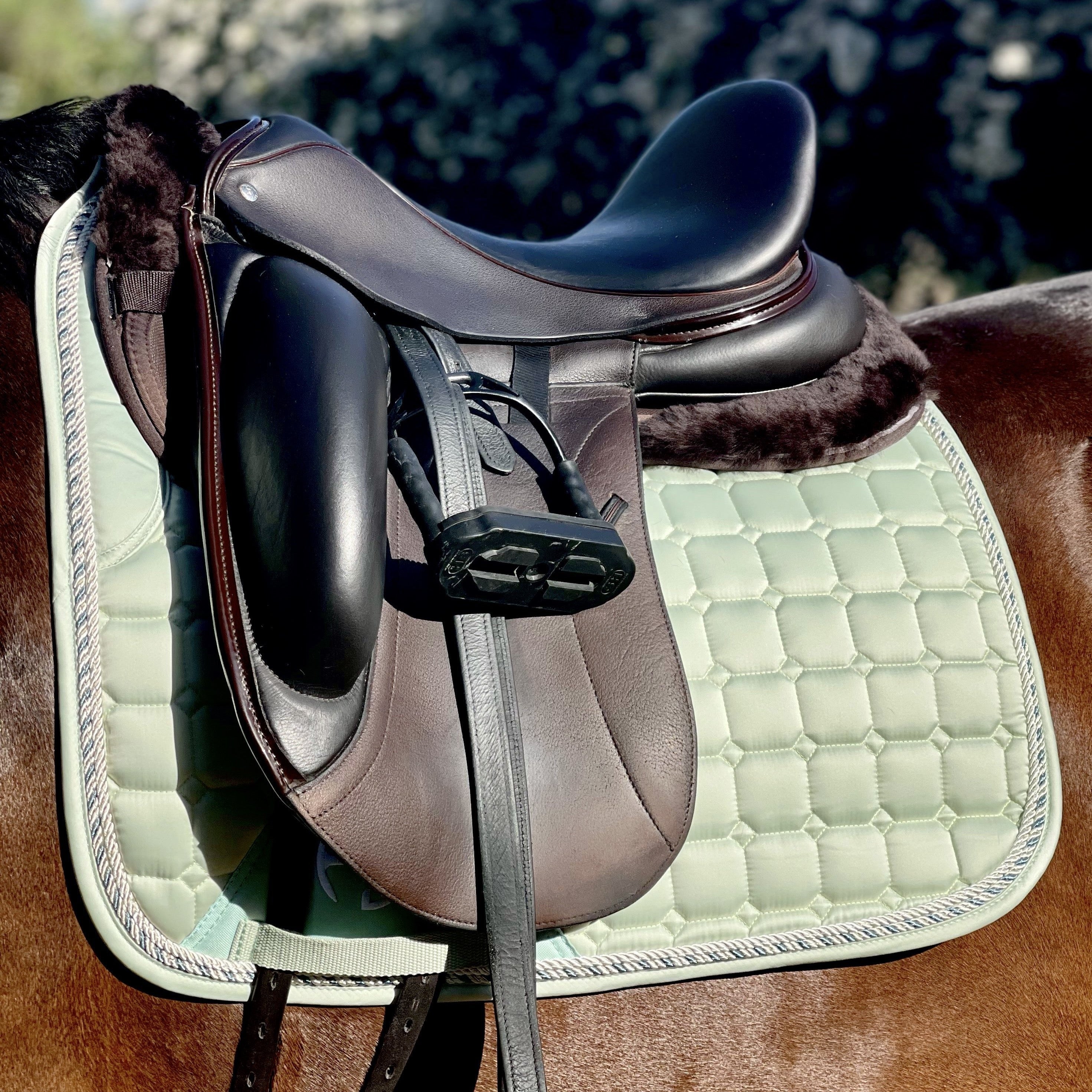 Satin Classic Dressage Saddle Pad - Mint Sorbet - Equine Exchange Tack Shop