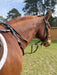 Running Martingale Add-On for Double Neck Strap - Equine Exchange Tack Shop