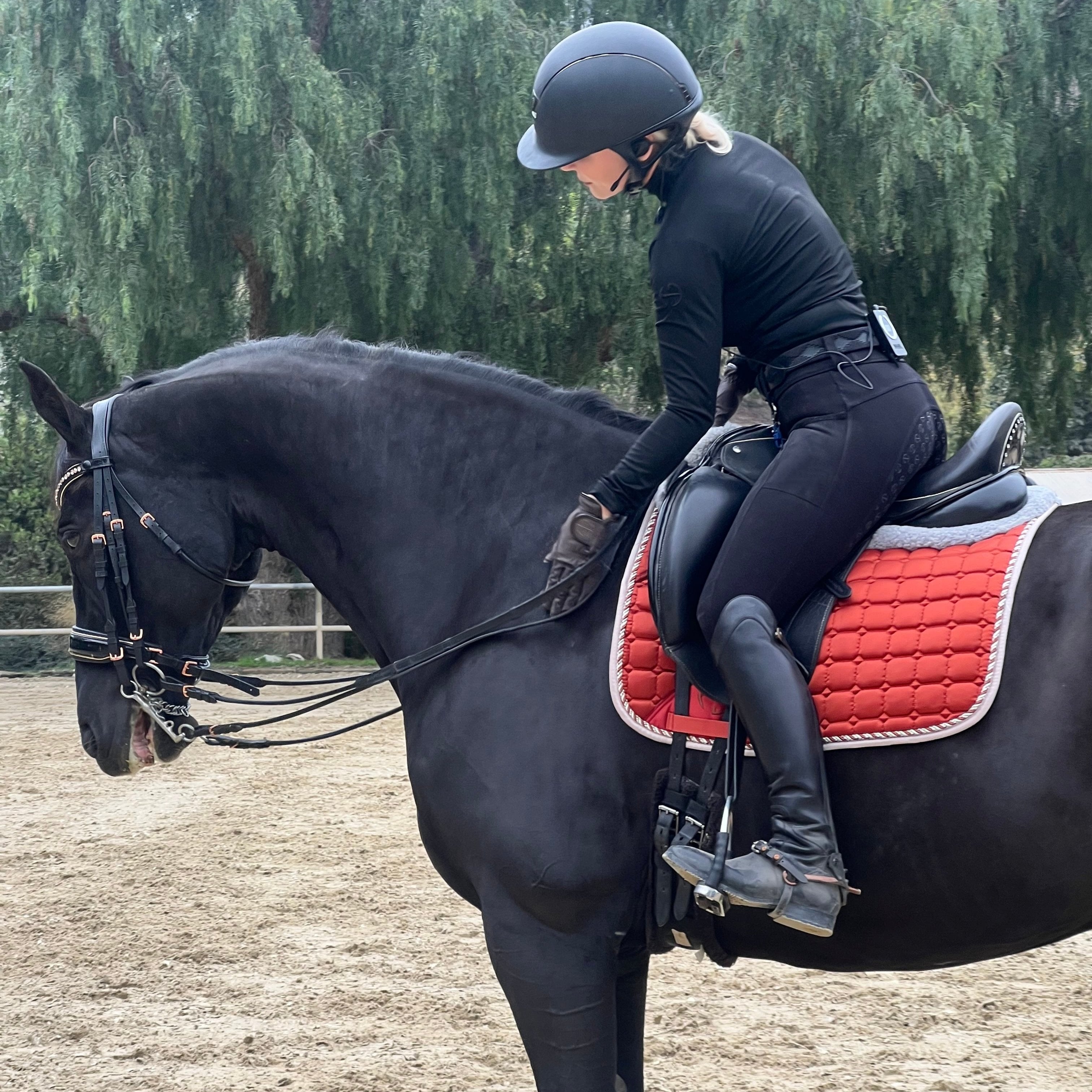 Satin Classic Dressage Saddle Pad - Rust - Equine Exchange Tack Shop