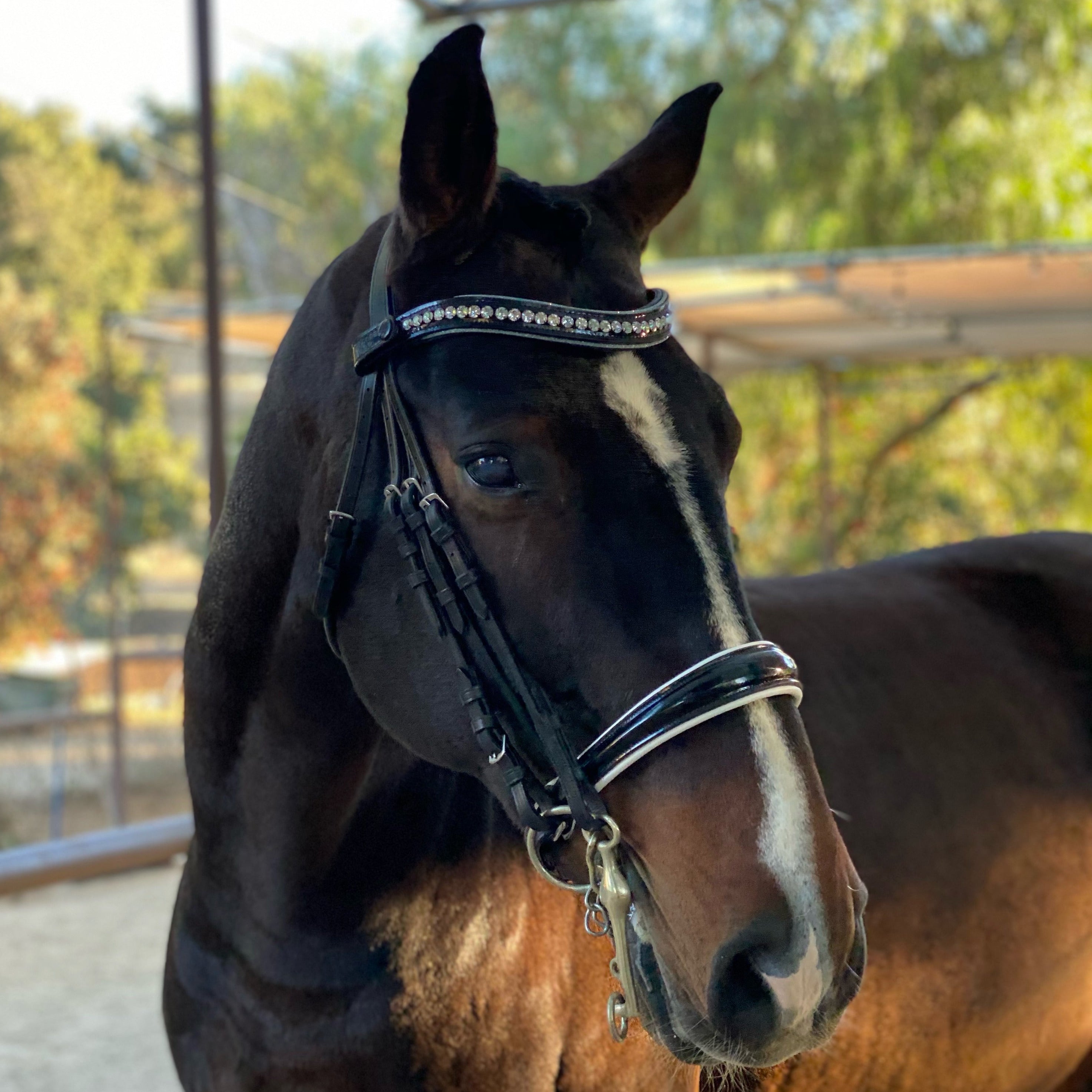 Crystal Patent Browband - Blue Frost - Equine Exchange Tack Shop