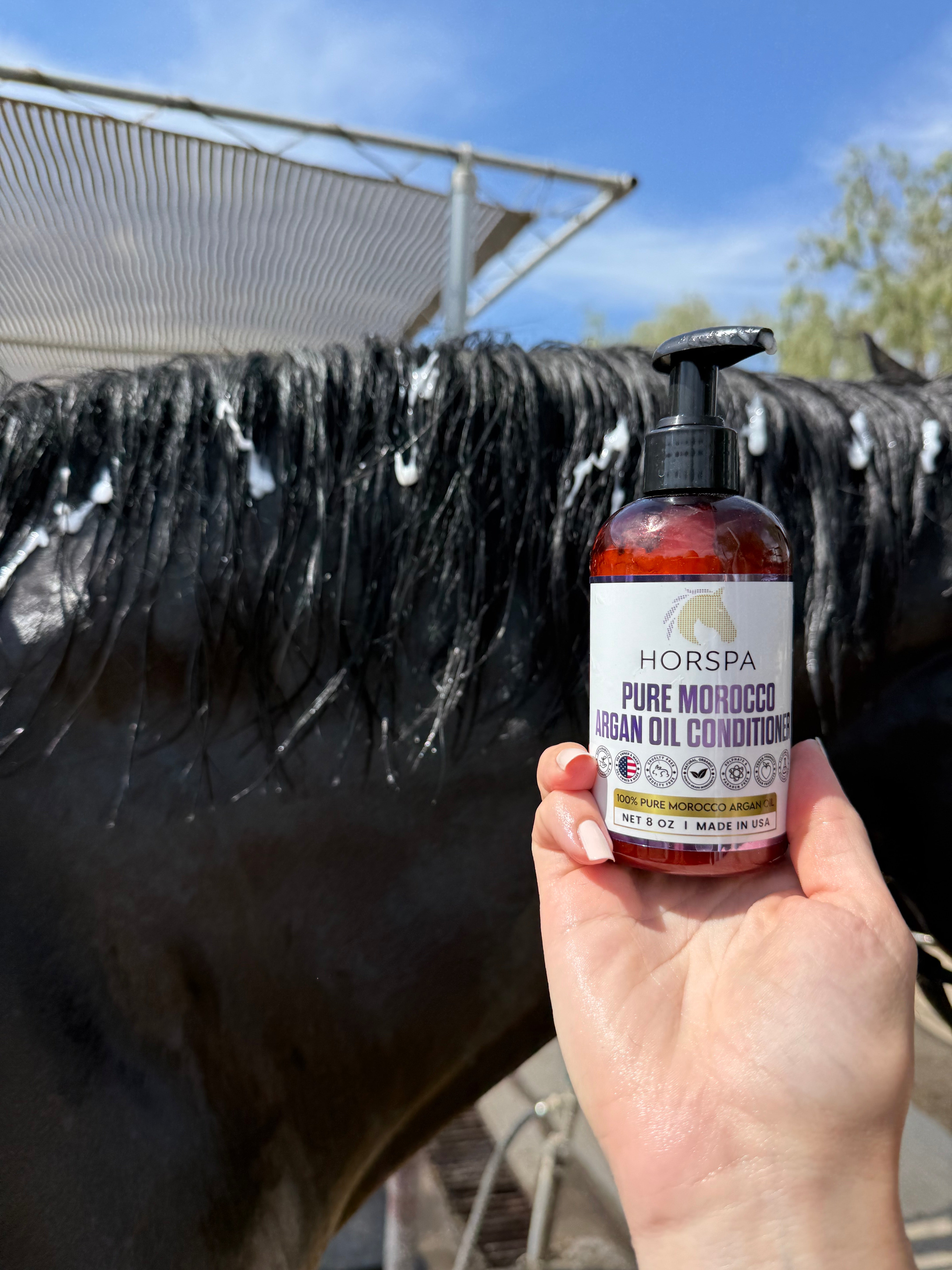 Pure Morocco Argan Oil Conditioner 8oz  