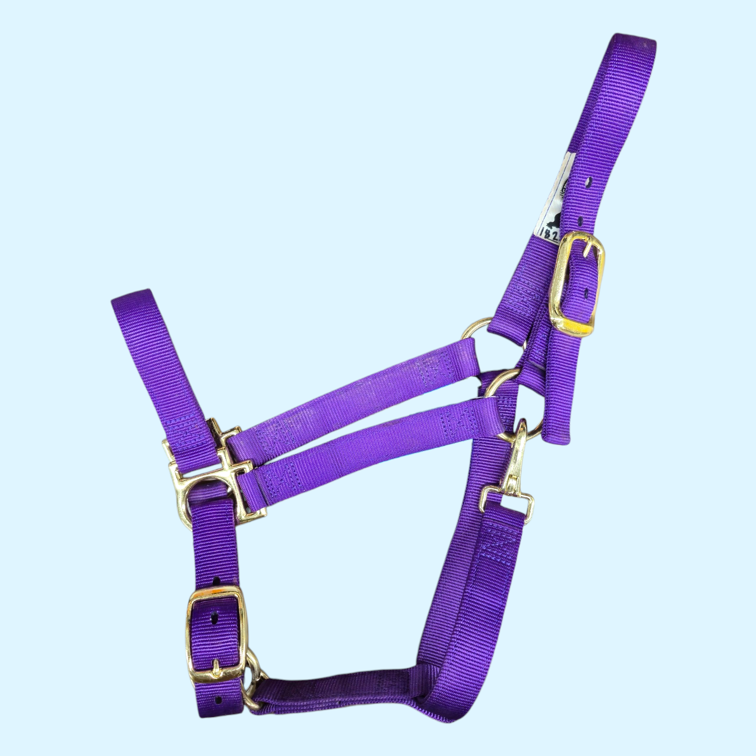 Weaver Adjustable Nylon Halter in Purple - Cob  