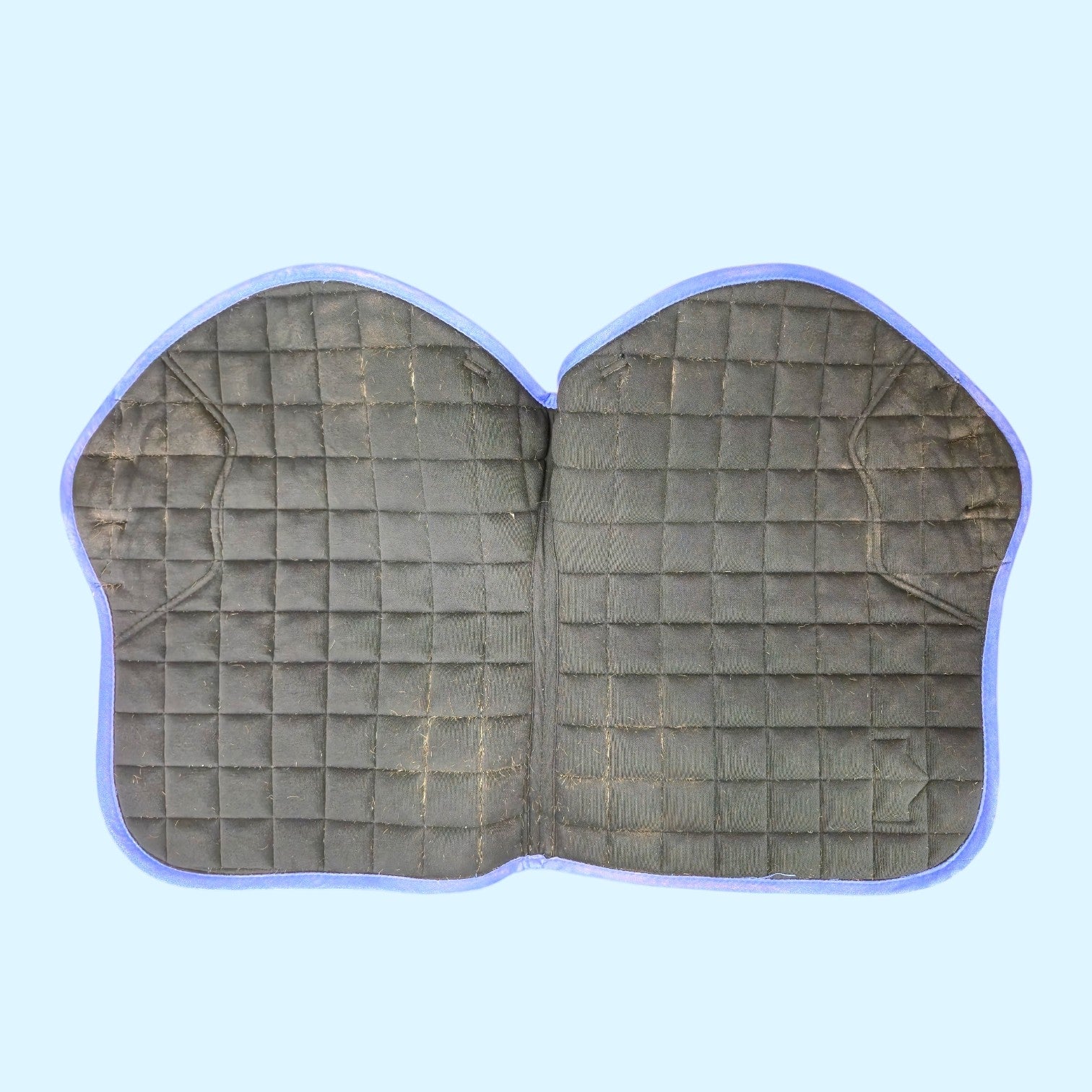 LeMieux Junior Loire Jump Pad in Periwinkle