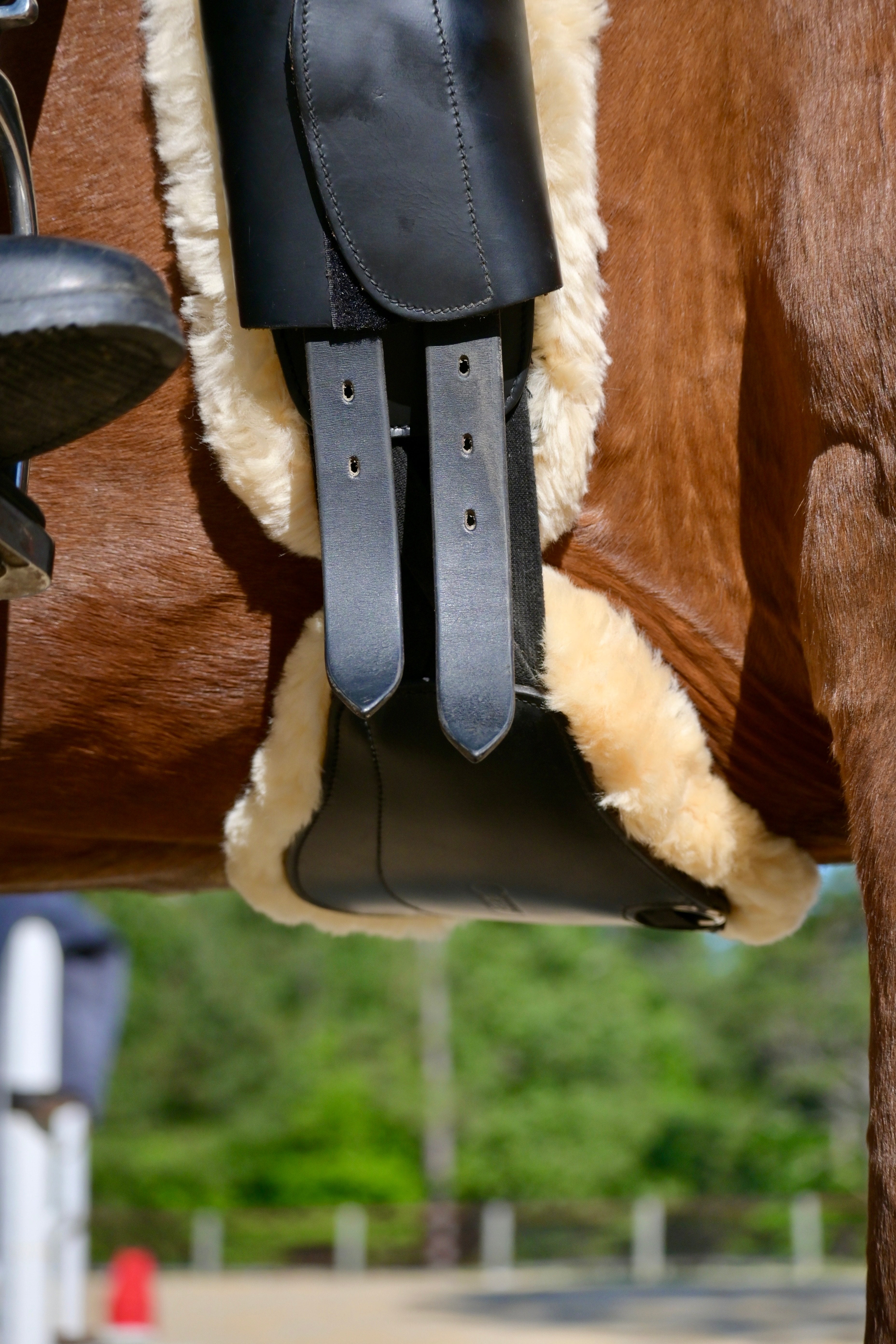 Removable Genuine Sheepskin Pads for Short Comfort Girth - Equine Exchange Tack Shop