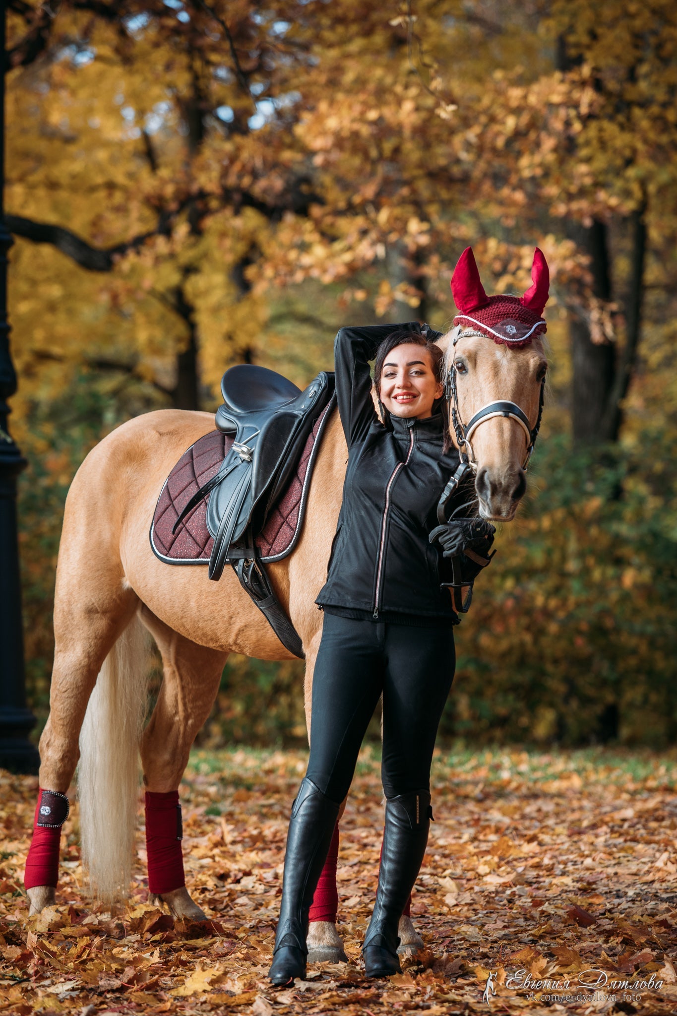 Burgundy Saddle Pad Set - Equine Exchange Tack Shop