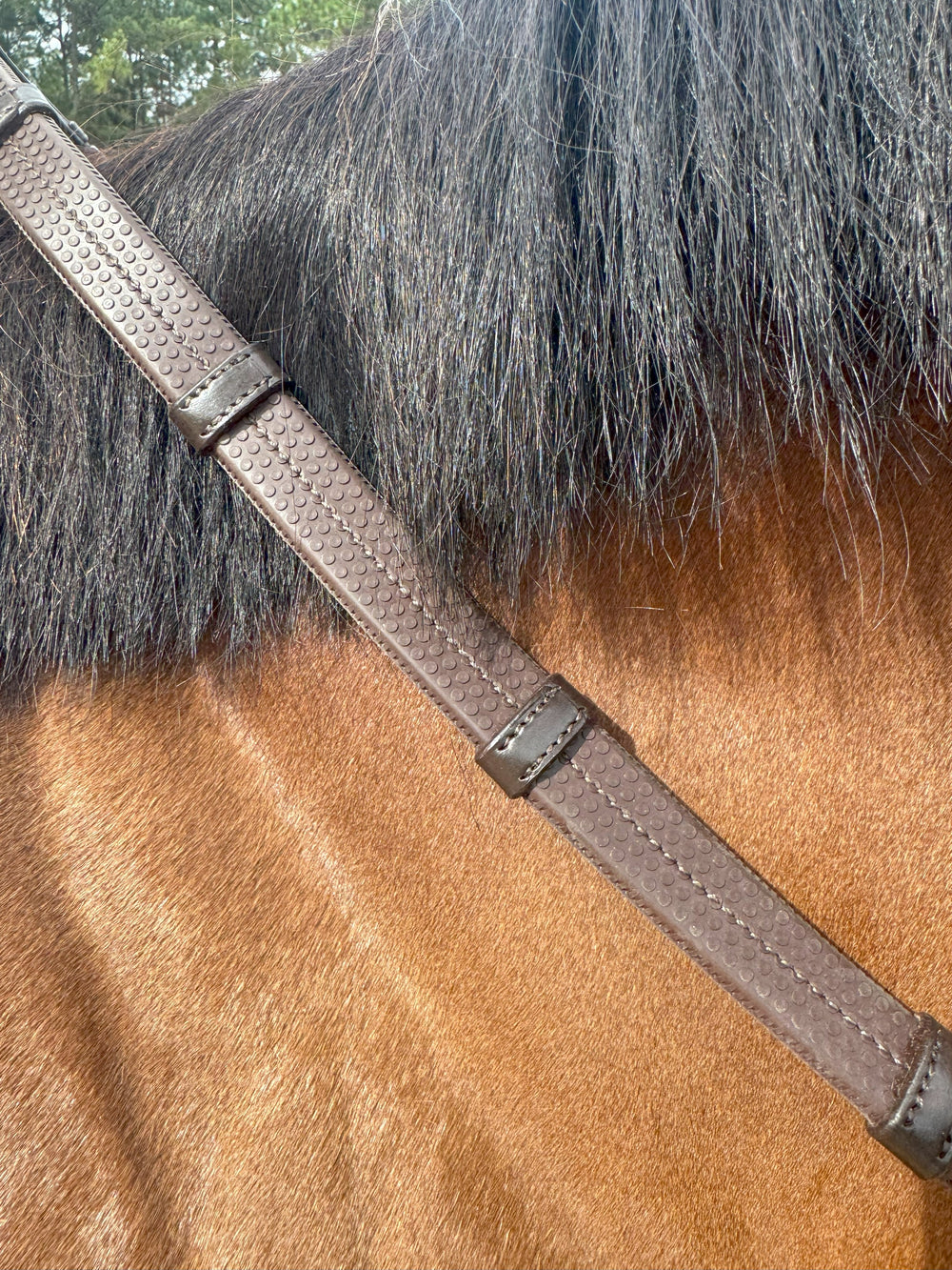 Super Grip Reins -Heavy Rubber Rein for Ultimate Grip- Hand Stops 5" (13cm) Apart - Equine Exchange Tack Shop