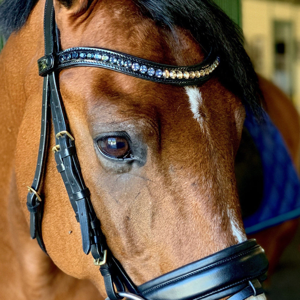 Halter Ego® Crystal Patent Browband - Dusk To Dawn - Equine Exchange Tack Shop