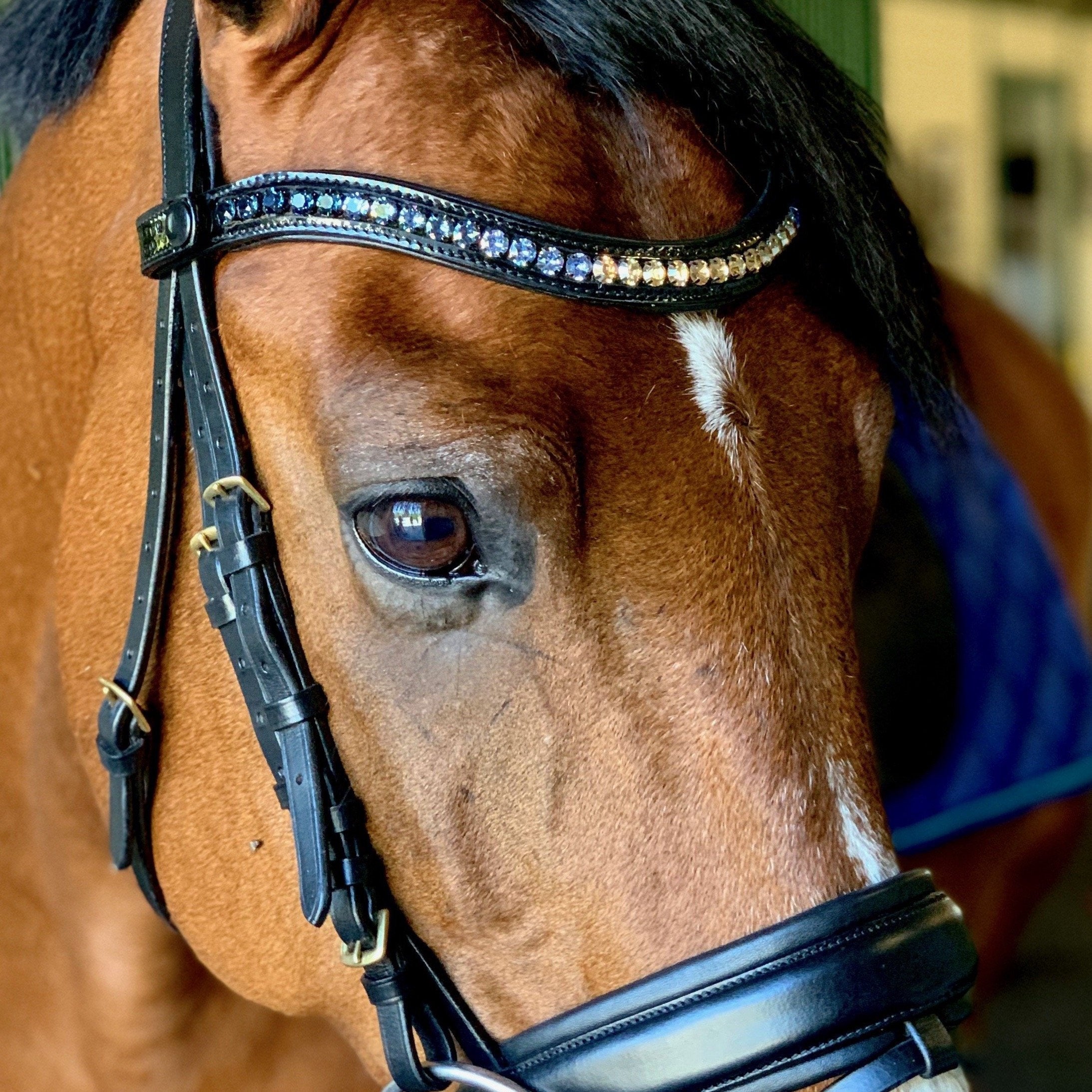 Halter Ego® Crystal Patent Browband - Dusk To Dawn - Equine Exchange Tack Shop